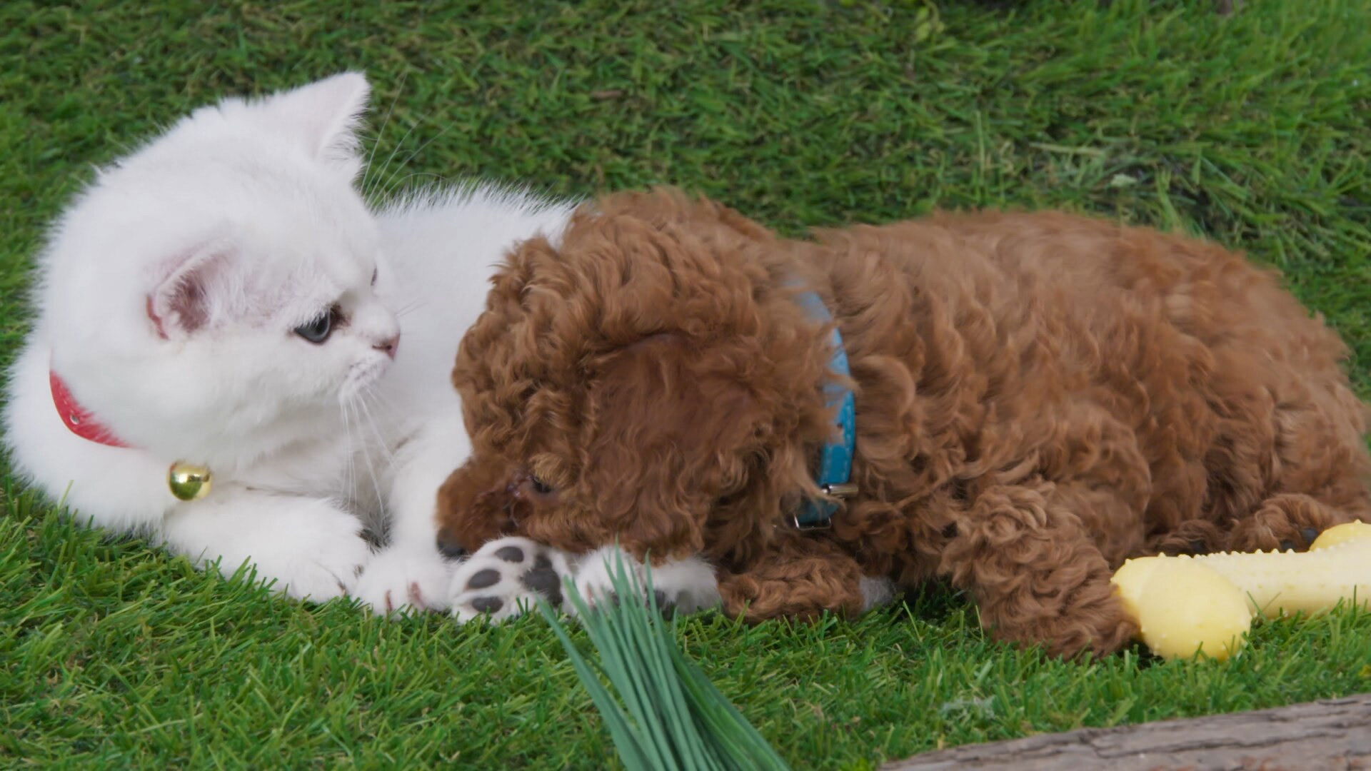 A Not So Secret Surprise