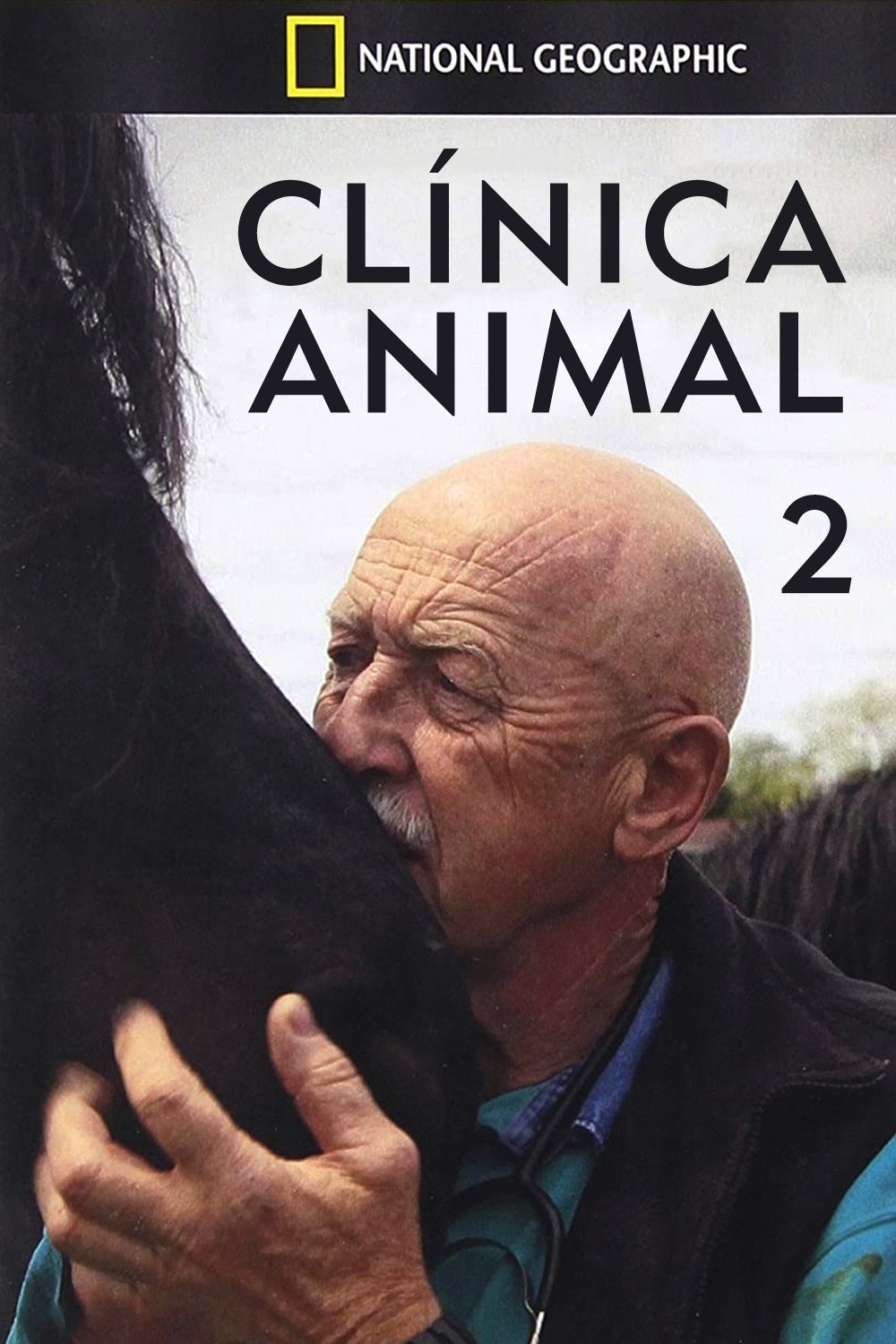 Poster de Temporada 2