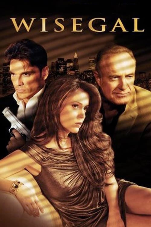 Poster de Wisegal