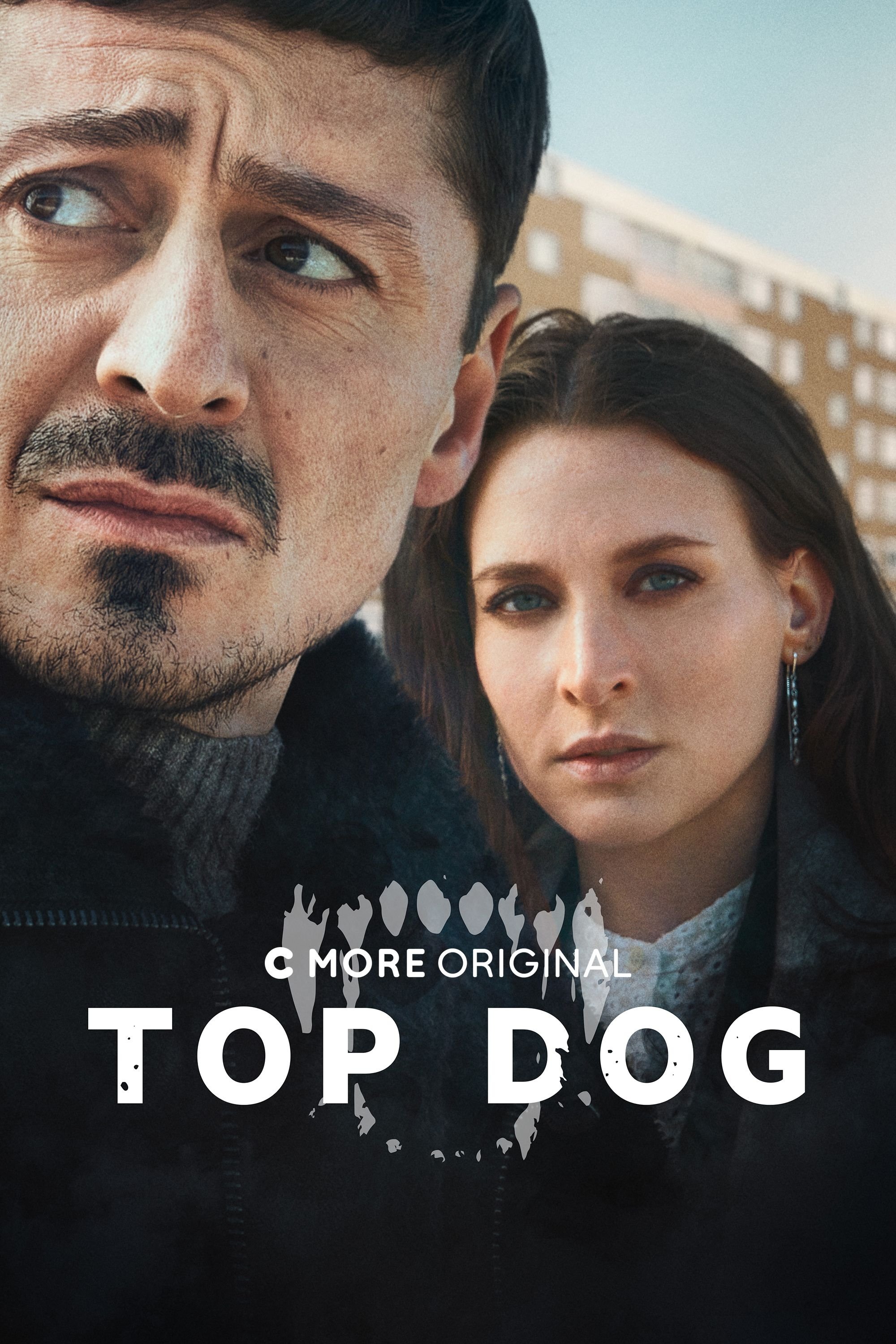 Poster de Temporada 2