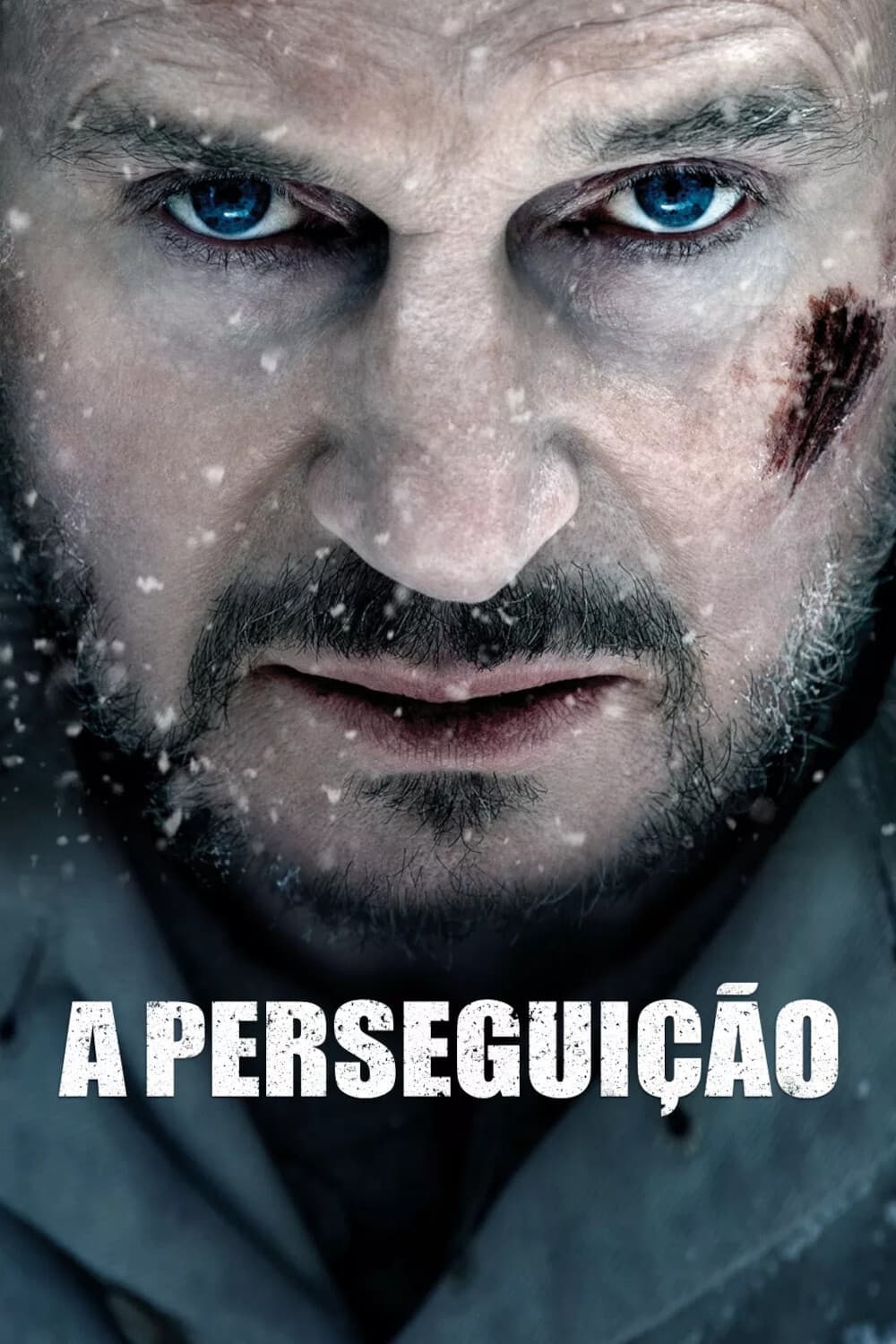 Poster de A Perseguição