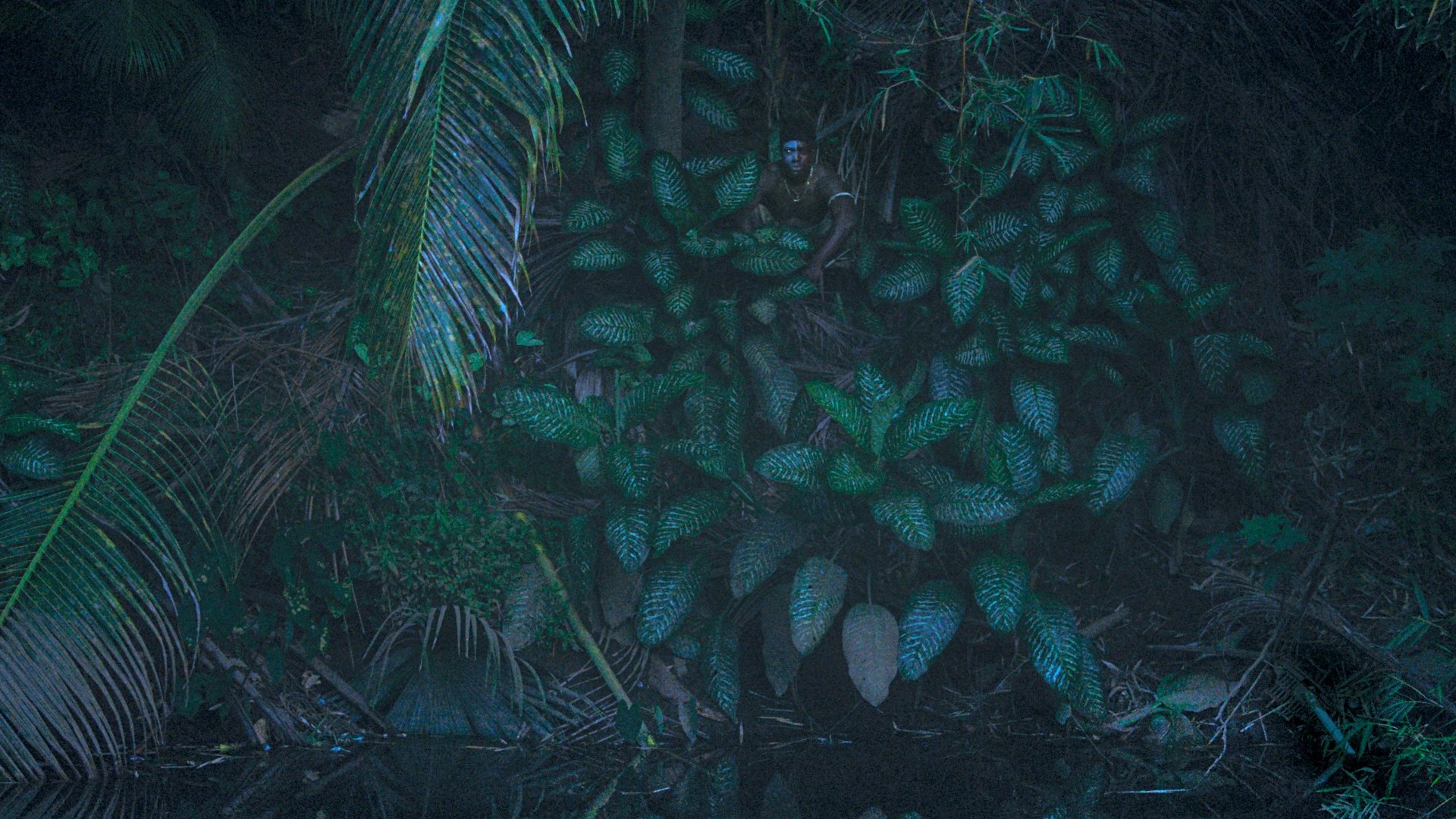 backdrops