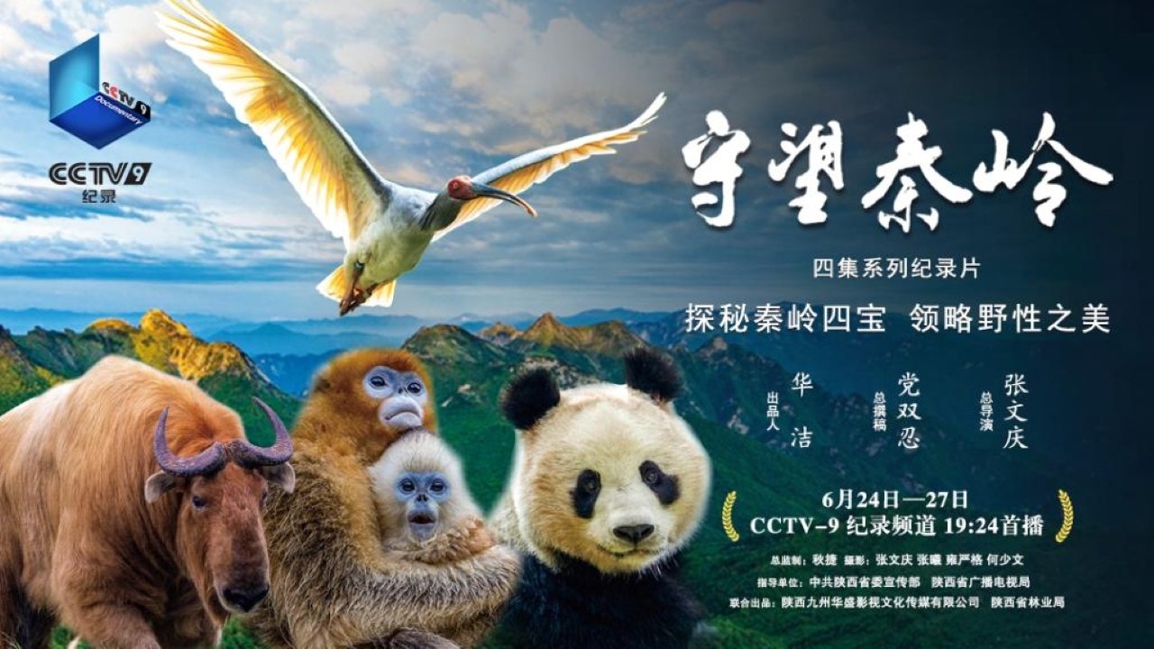 守望秦岭
