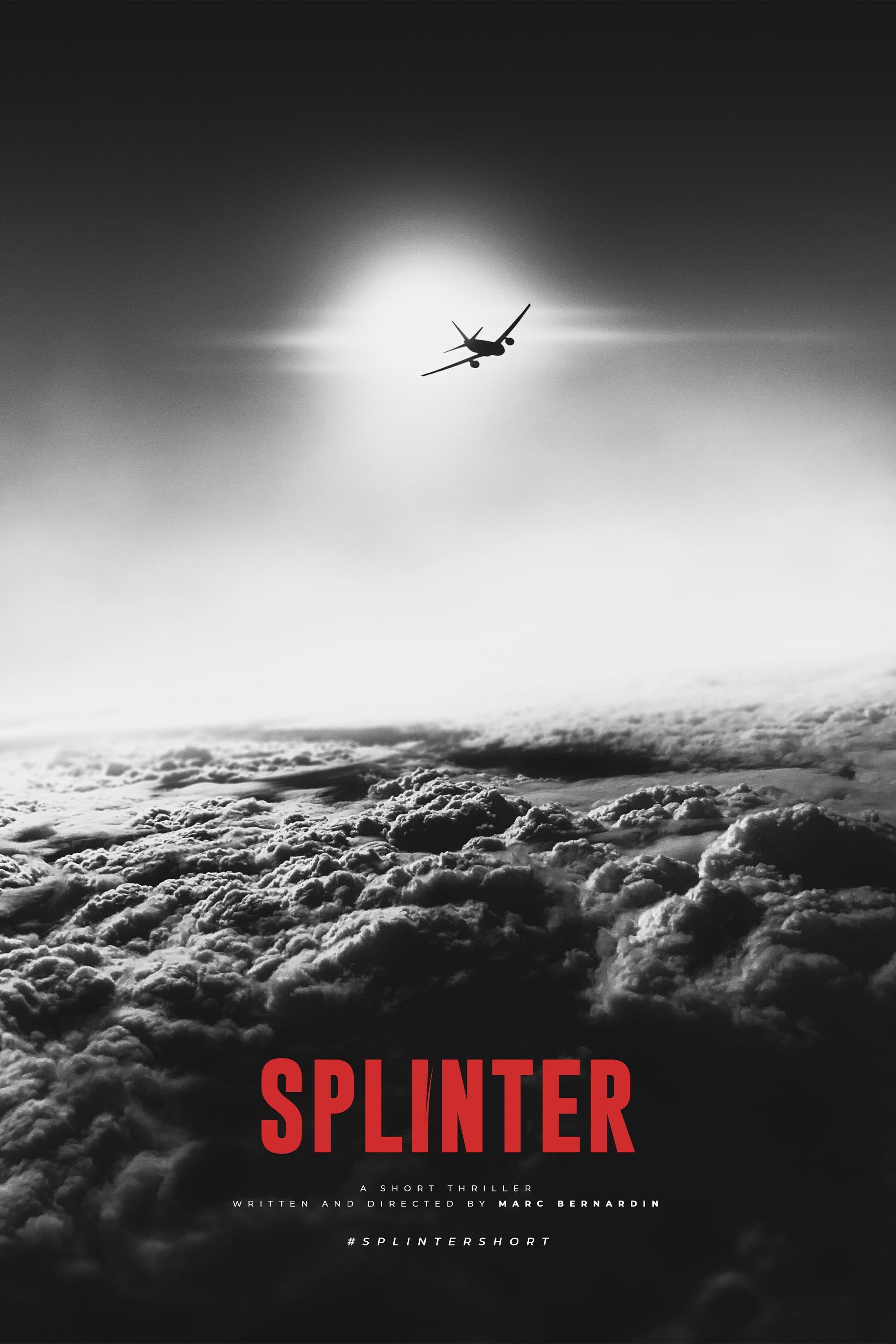 Affiche du film Splinter