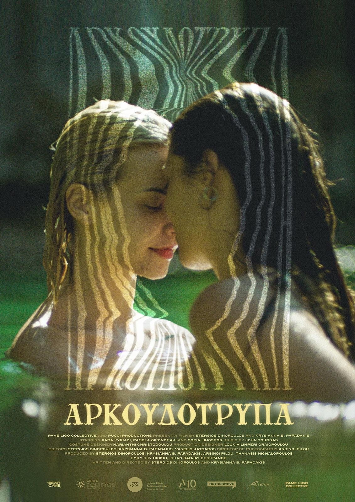 Poster de Αρκουδότρυπα