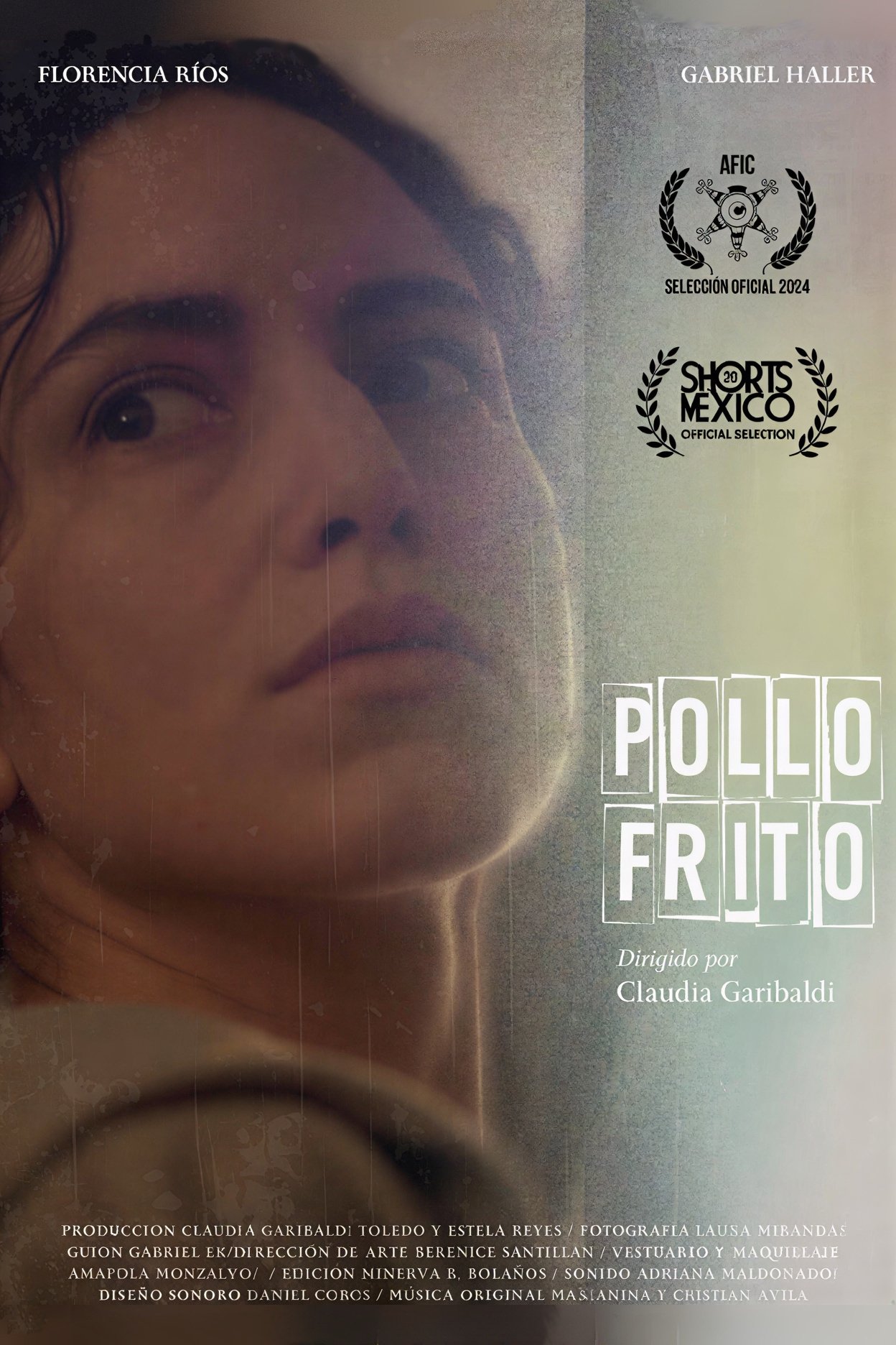 Poster de Pollo frito