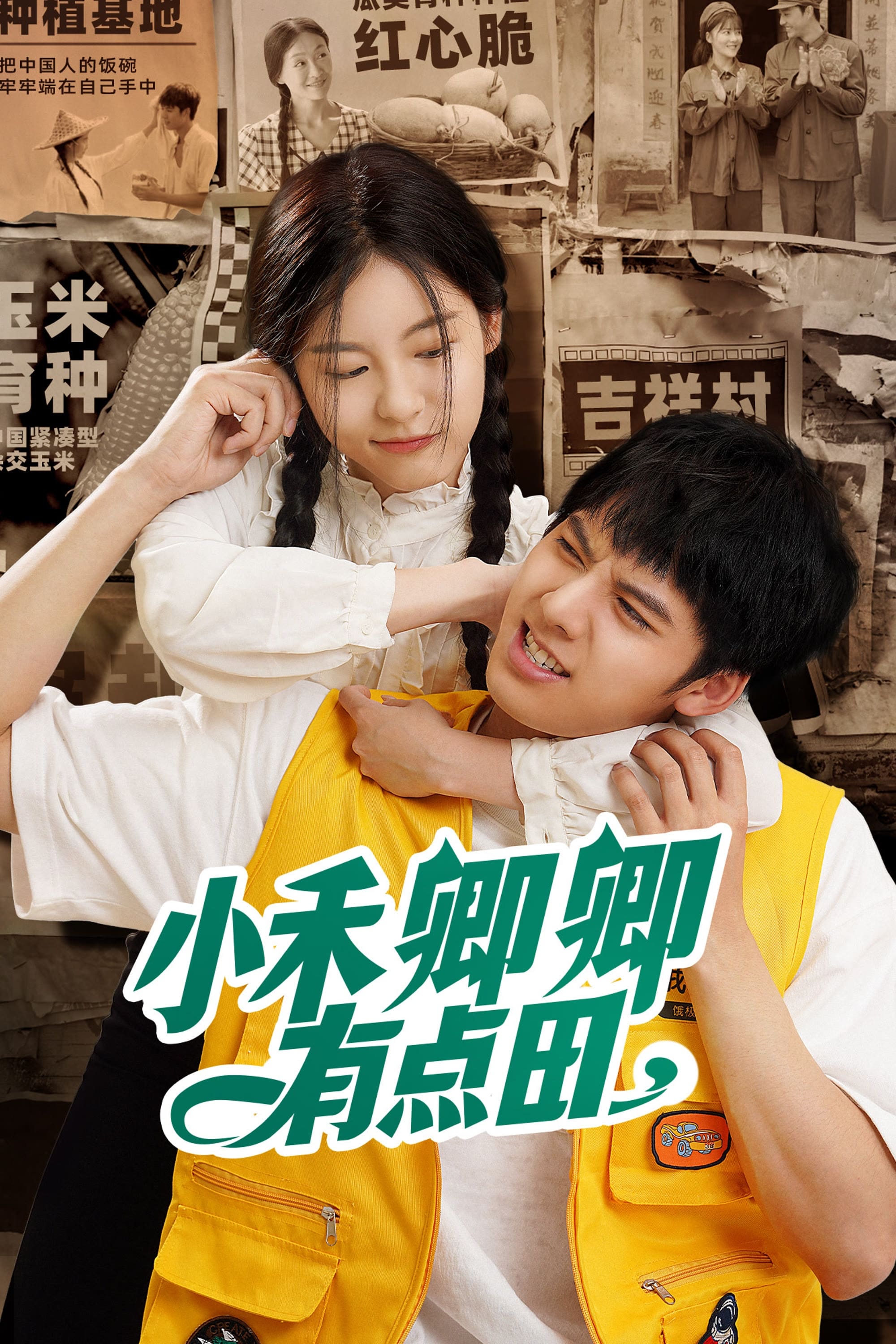 Poster de 小禾卿卿有点田