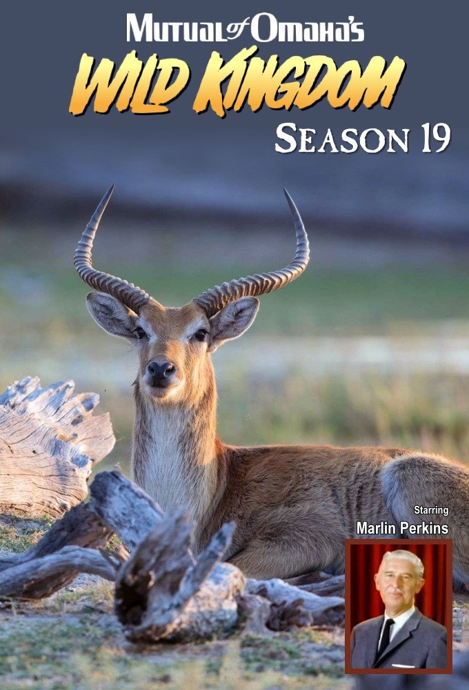 Poster de Temporada 19