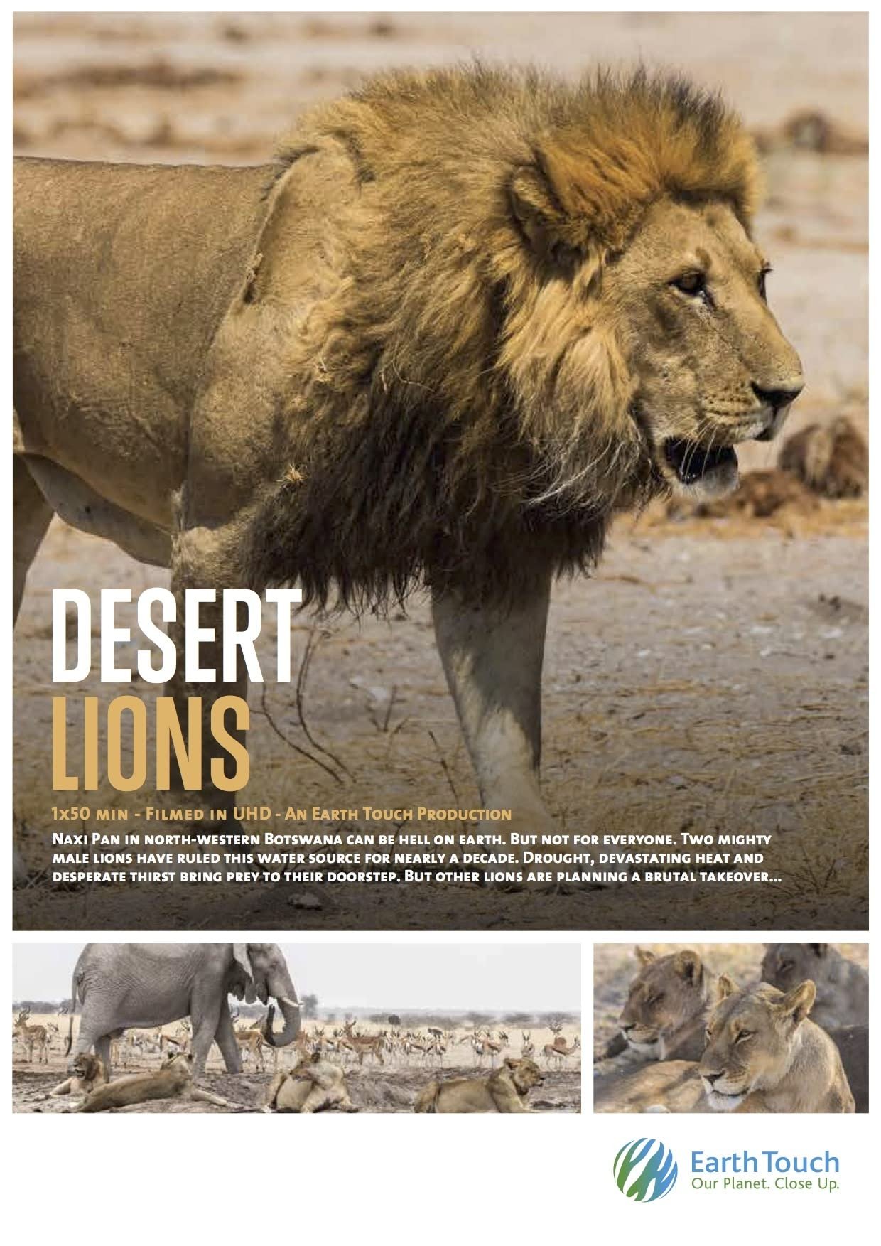 Poster de Os Leões do Deserto