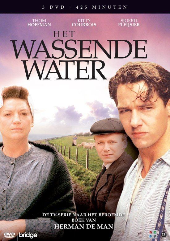 Poster de Het wassende water