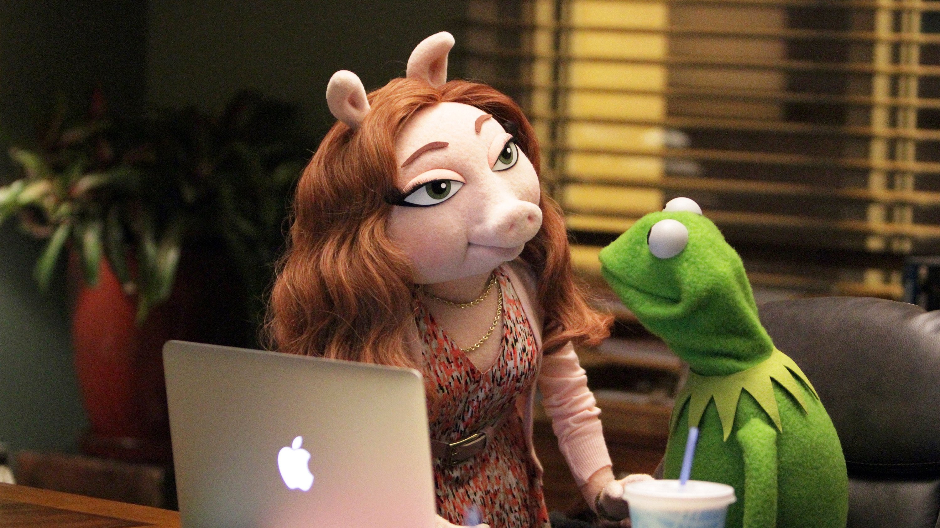 The Muppets