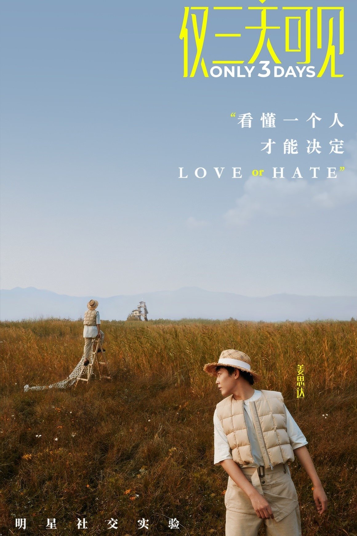 Poster de 仅三天可见