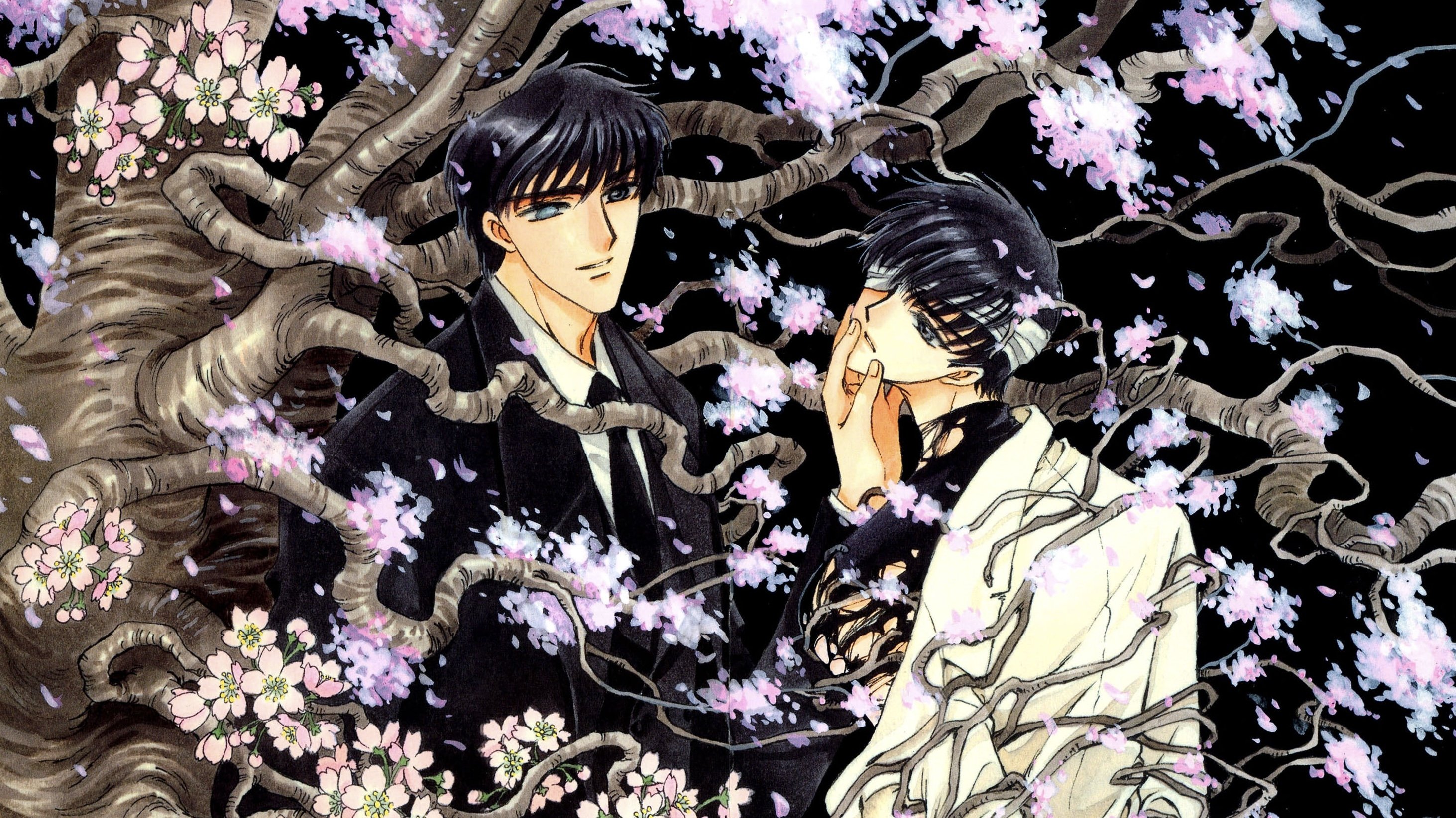 Backdrop image