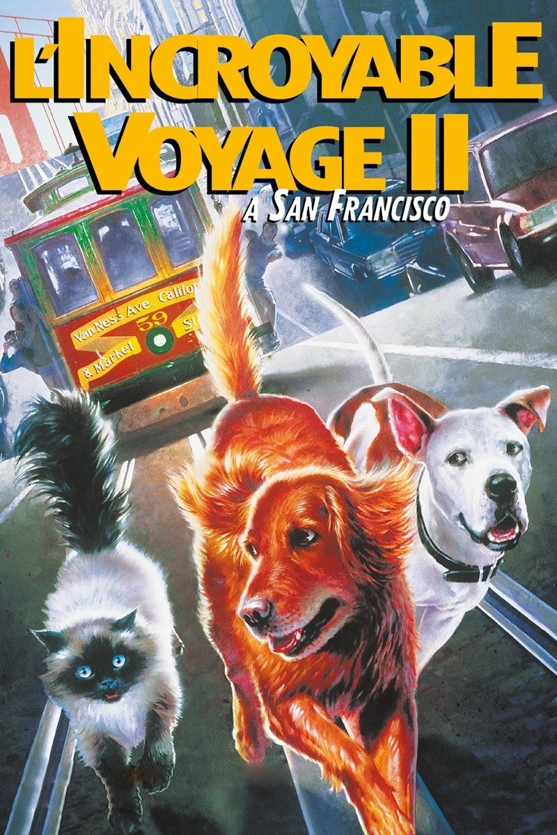 Affiche du film L'incroyable voyage II : À San Francisco