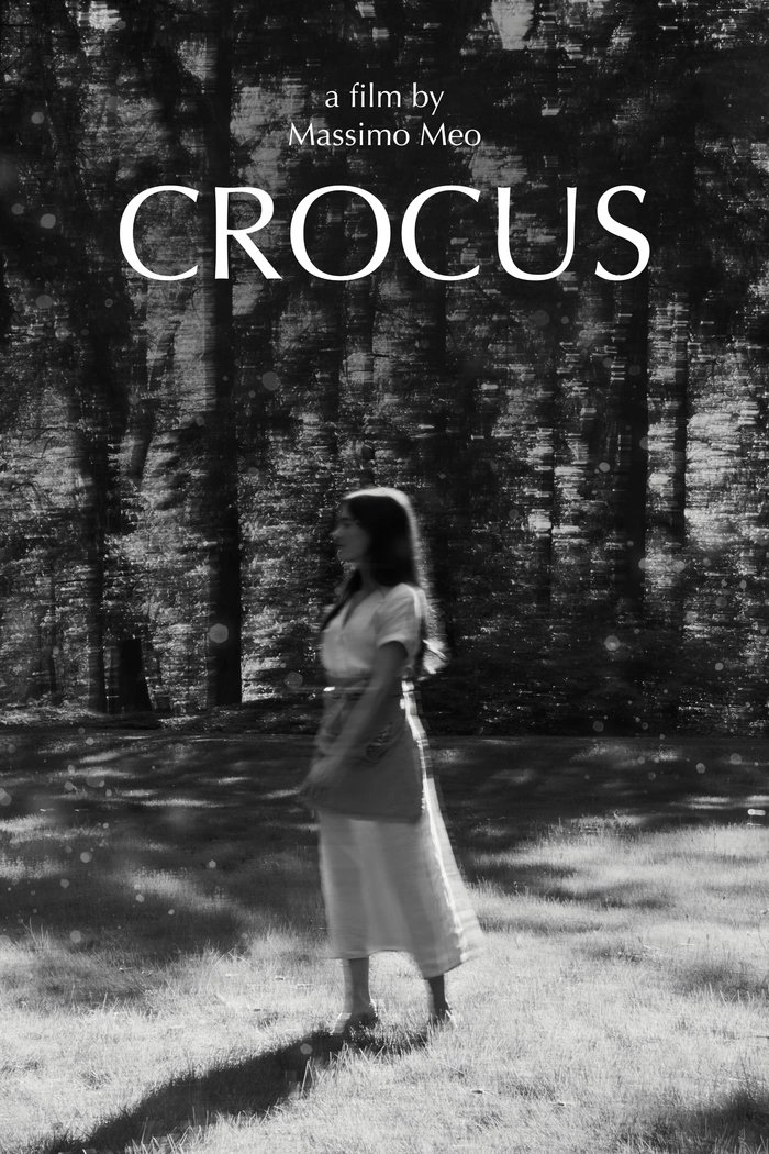 Poster de Crocus