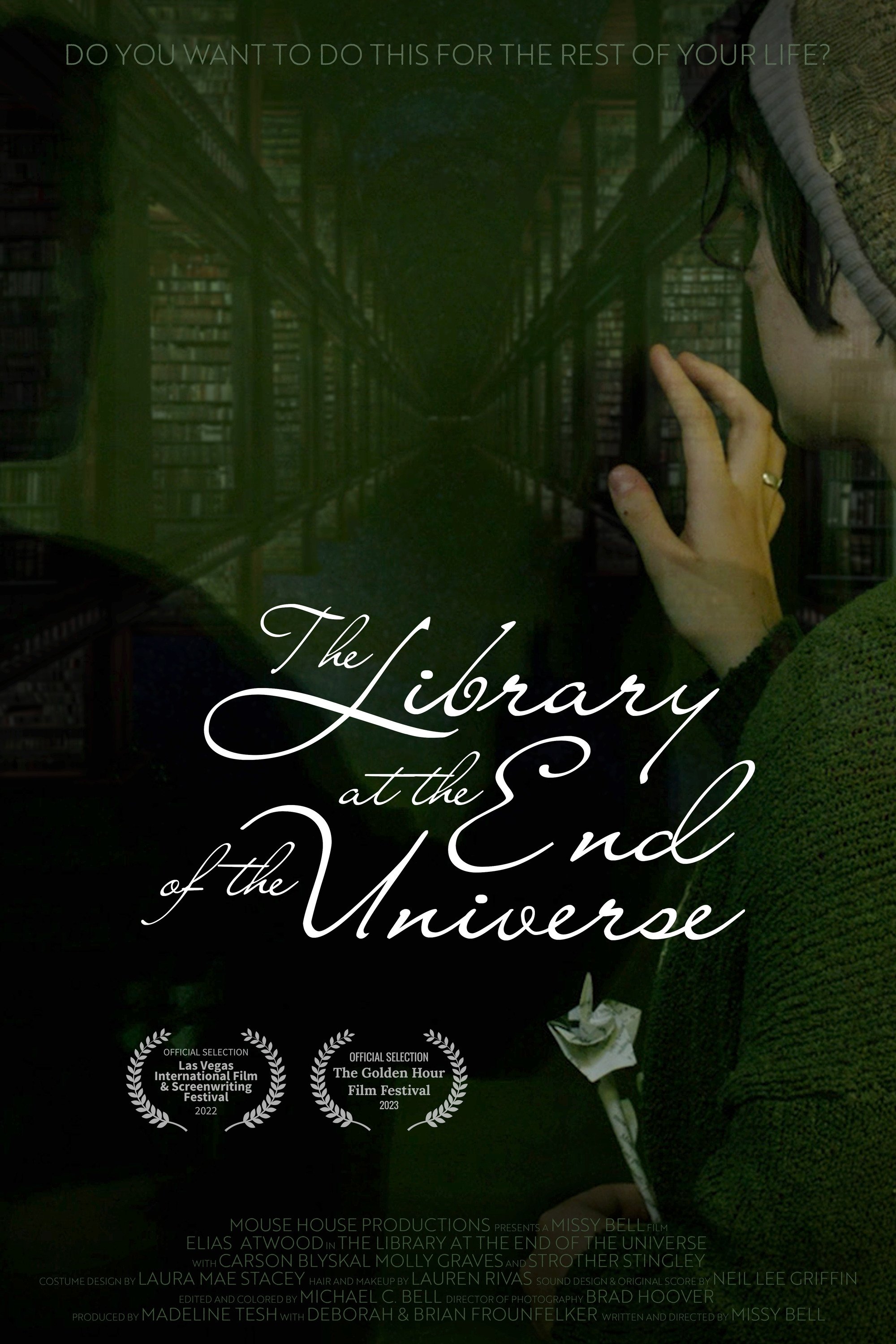 Poster de The Library at the End of the Universe