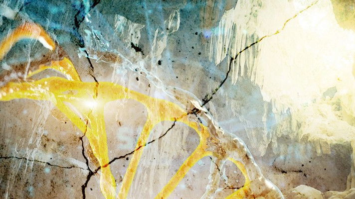 Denisovans: They Might Be Giants