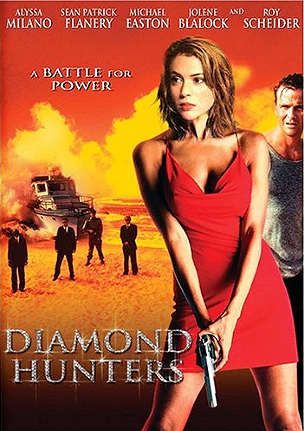 Poster de The Diamond Hunters