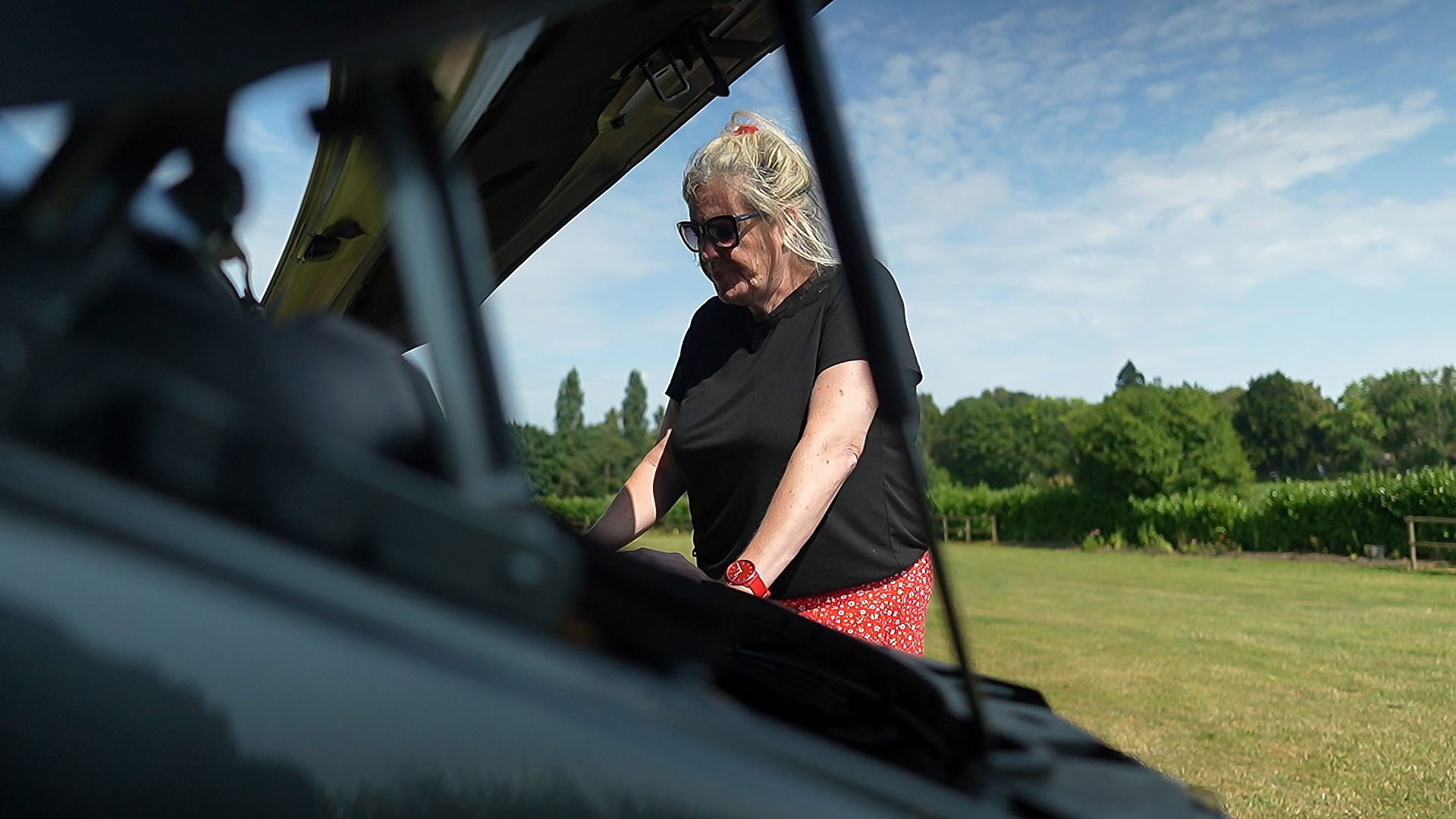 Ravenous rats destroyed my car