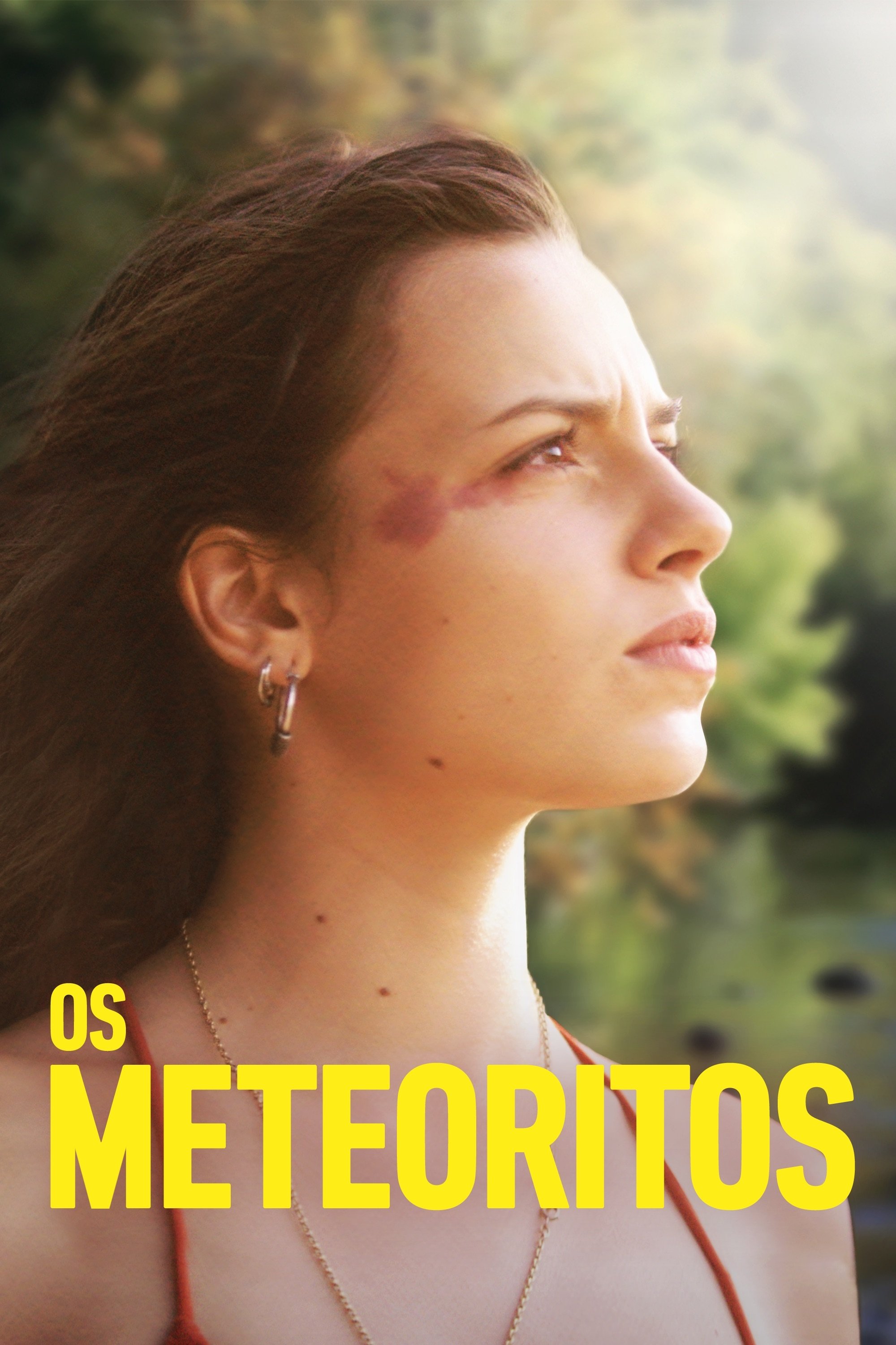 Poster de Os Meteoritos