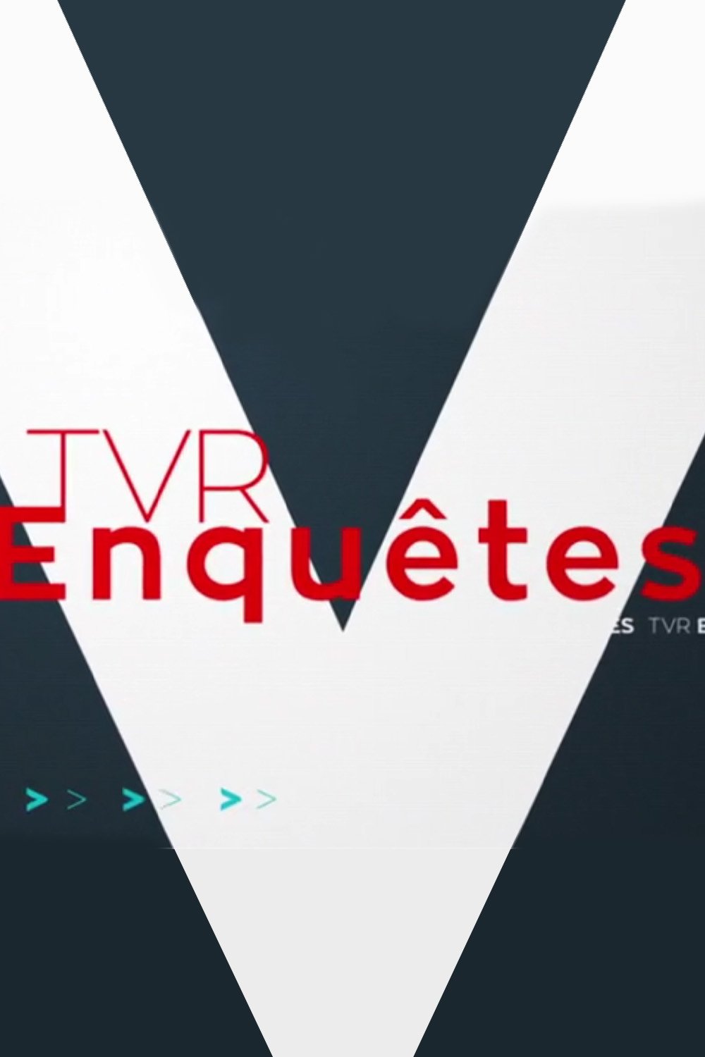 Poster de TVR Enquêtes