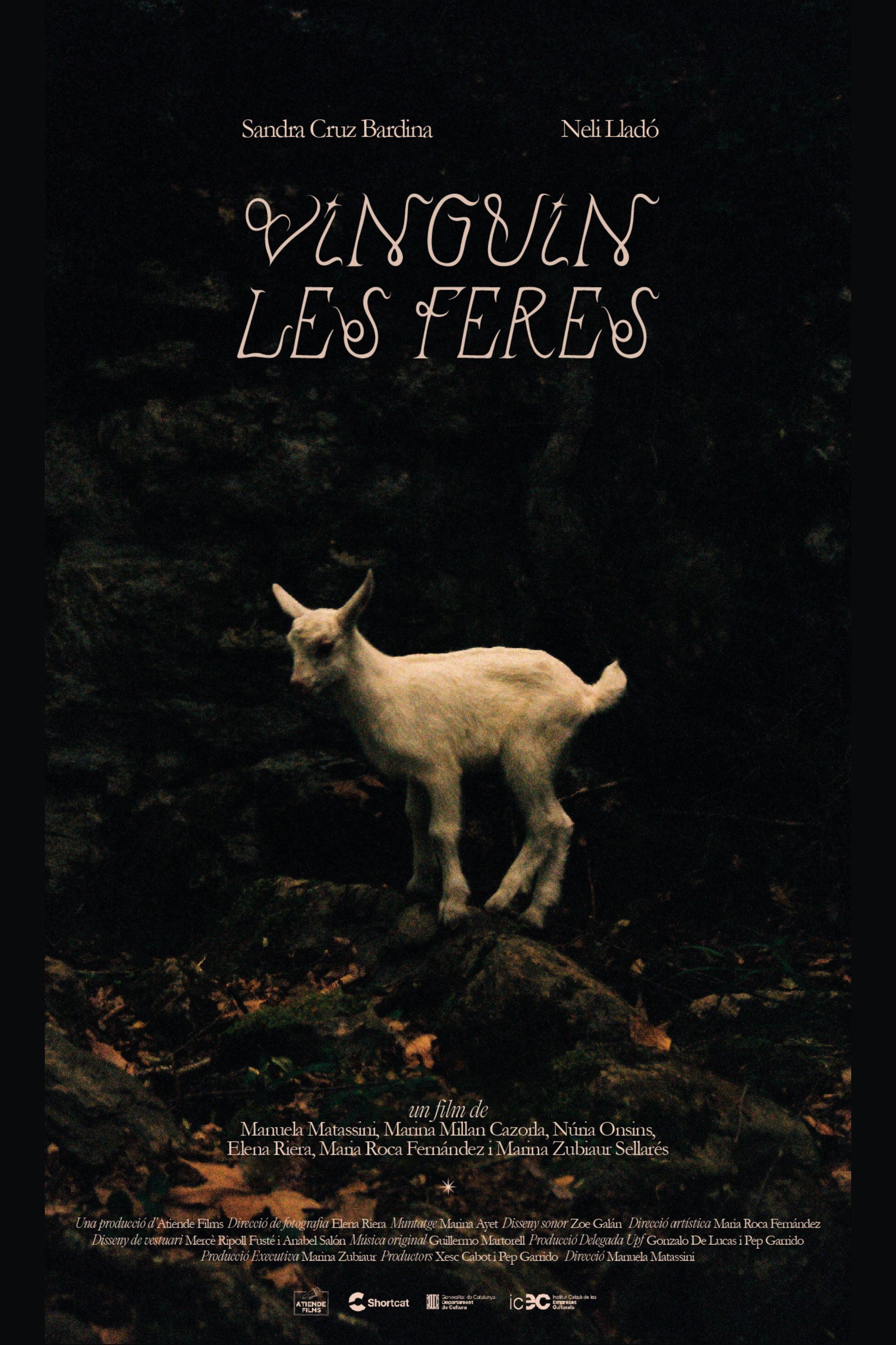 Poster de Vinguin les feres