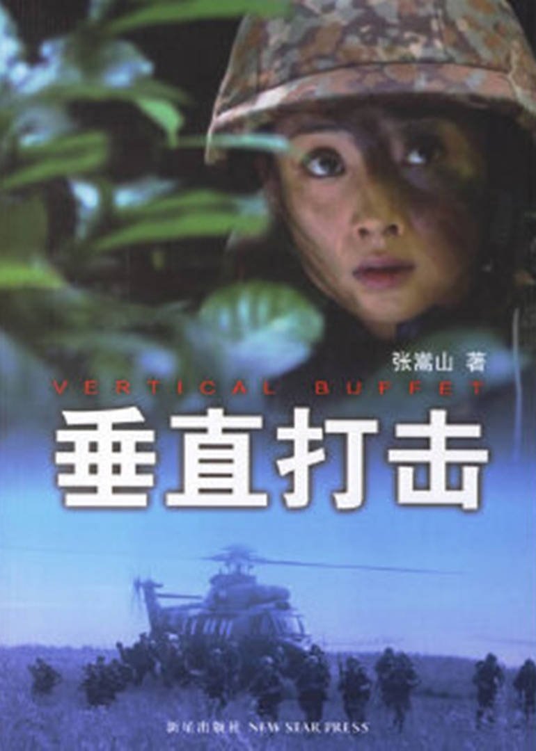 Poster de 垂直打击