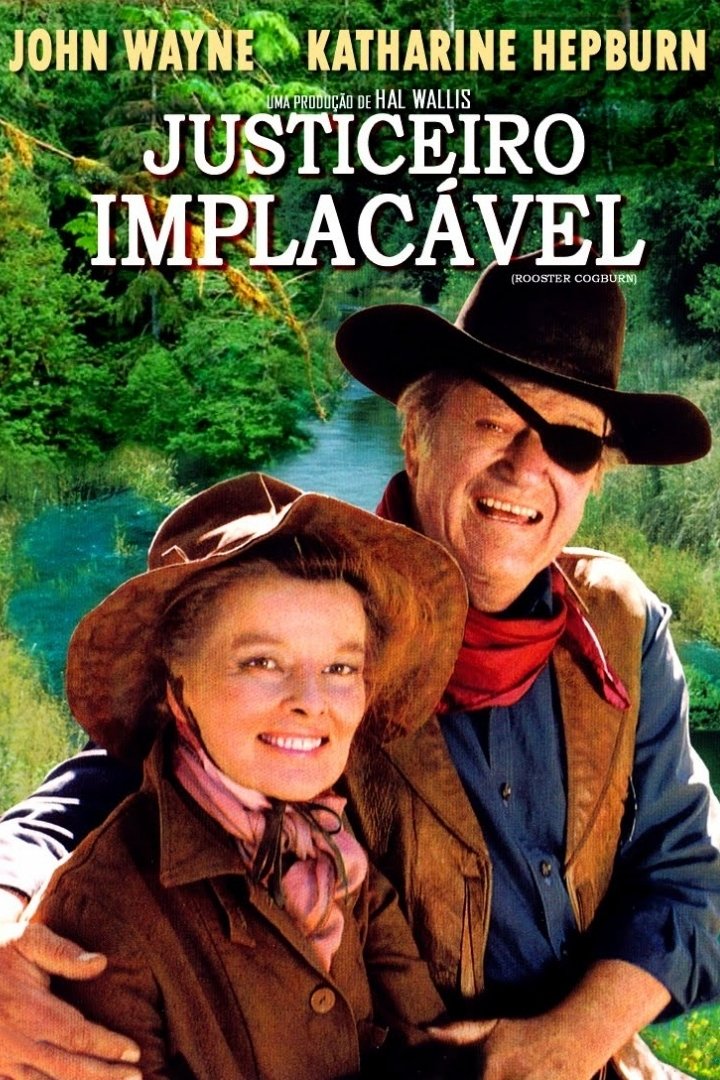 Poster de Justiceiro Implacável