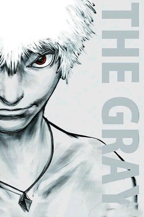 Poster de 灰体