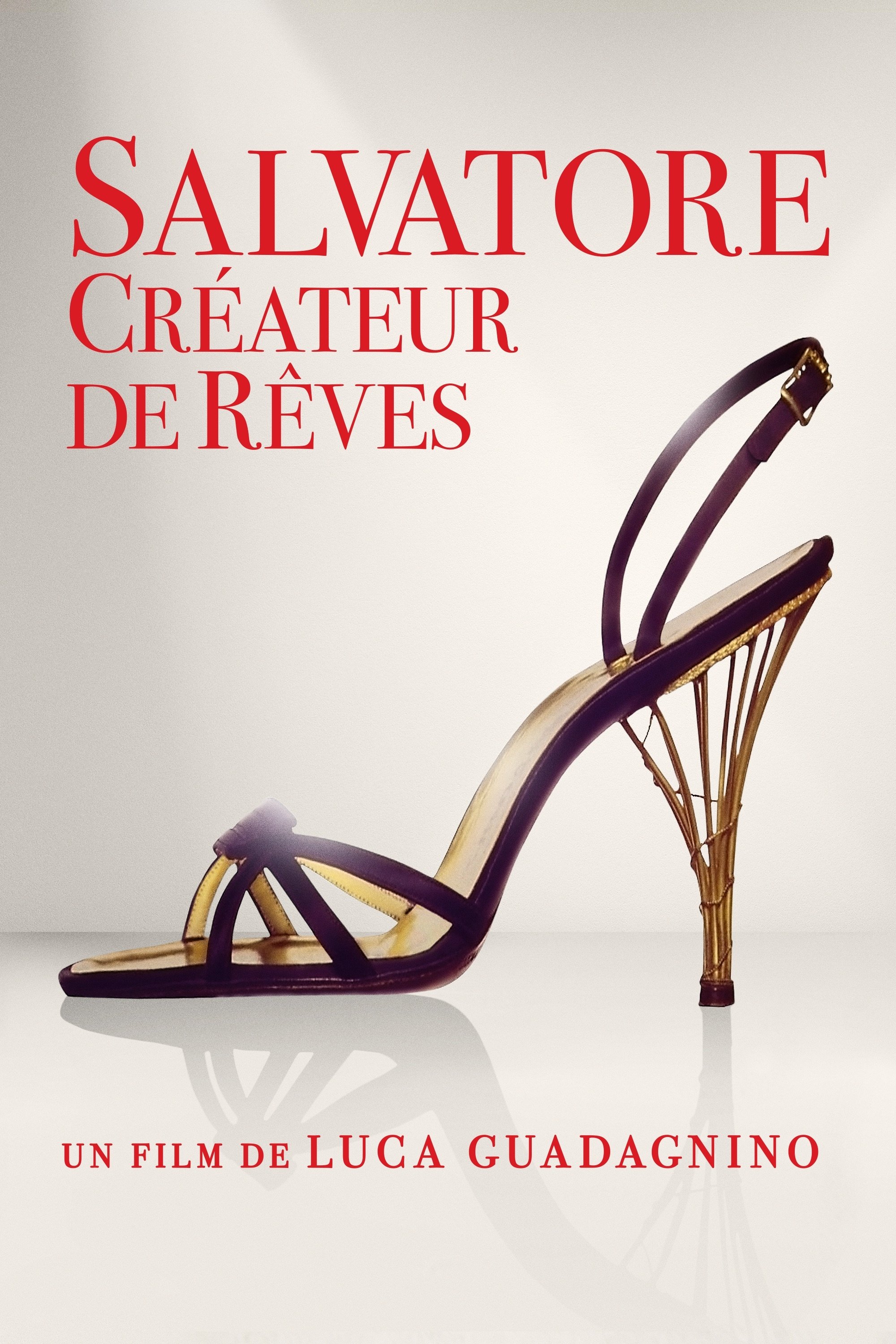 Affiche du film Salvatore : Créateur de Rêves