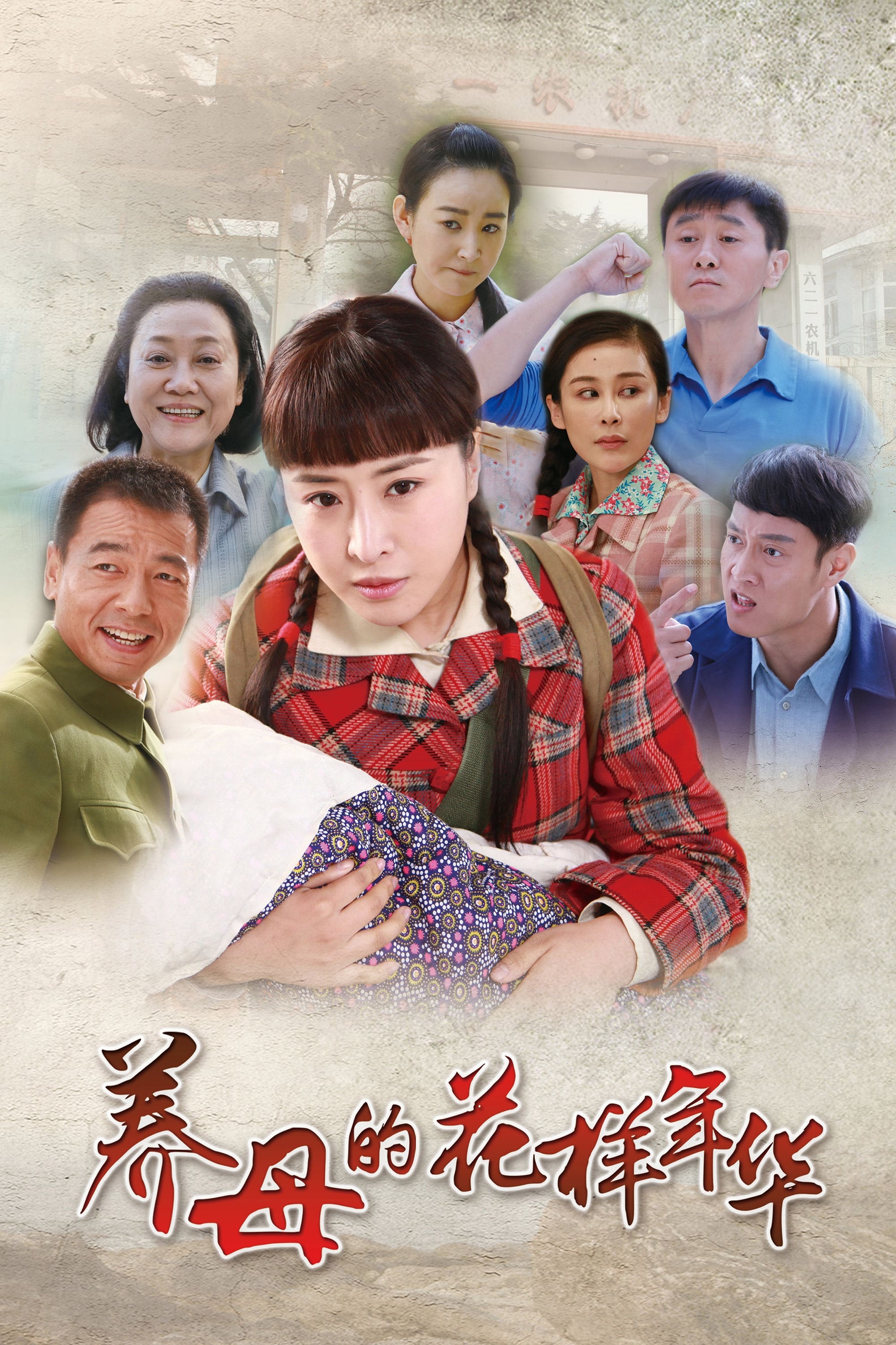 Poster de 养母的花样年华