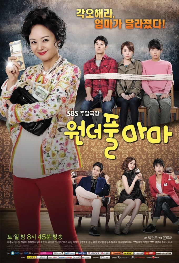 Poster de 원더풀 마마