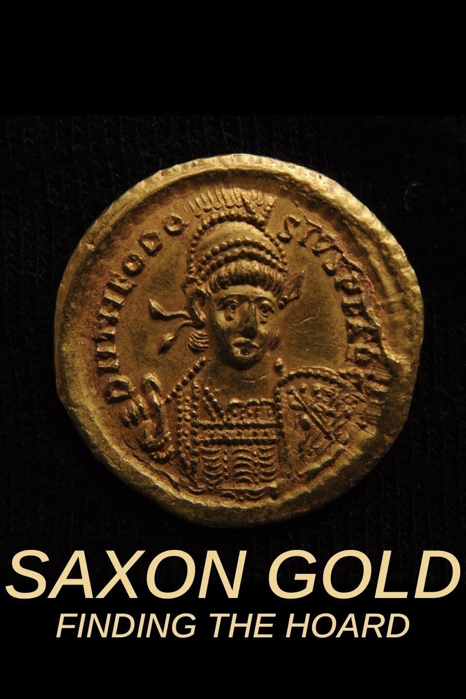Affiche du film Saxon Gold: Finding the Hoard
