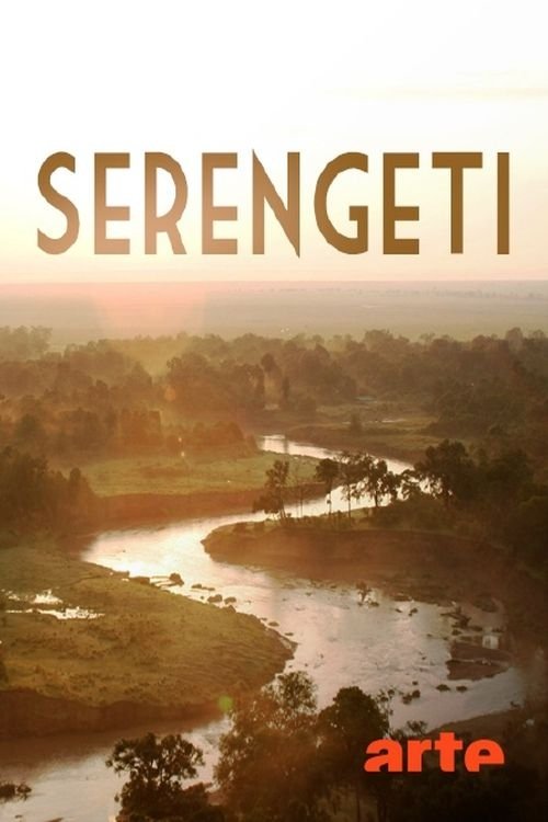 Poster de Serengeti