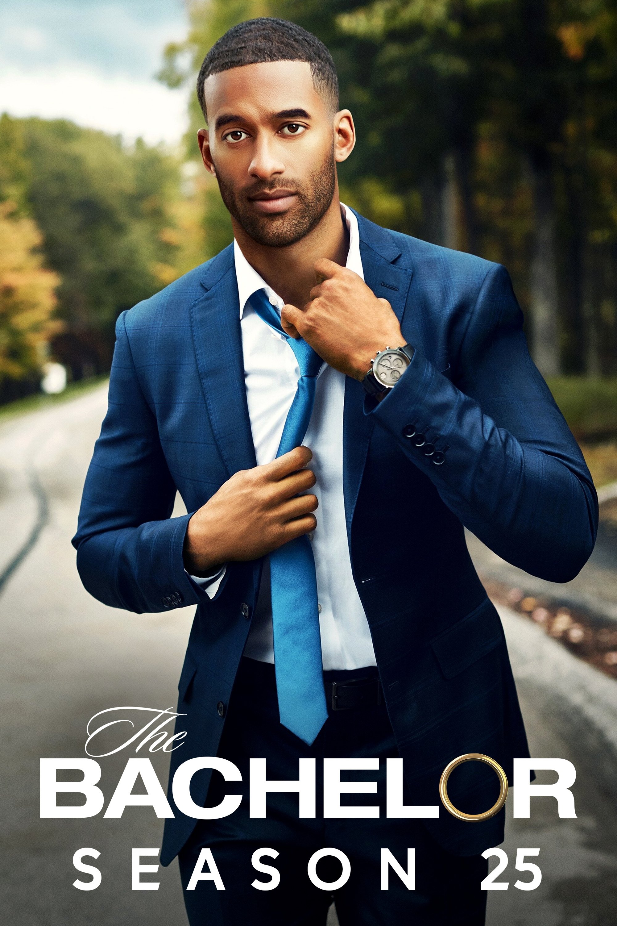 Poster de Temporada 25