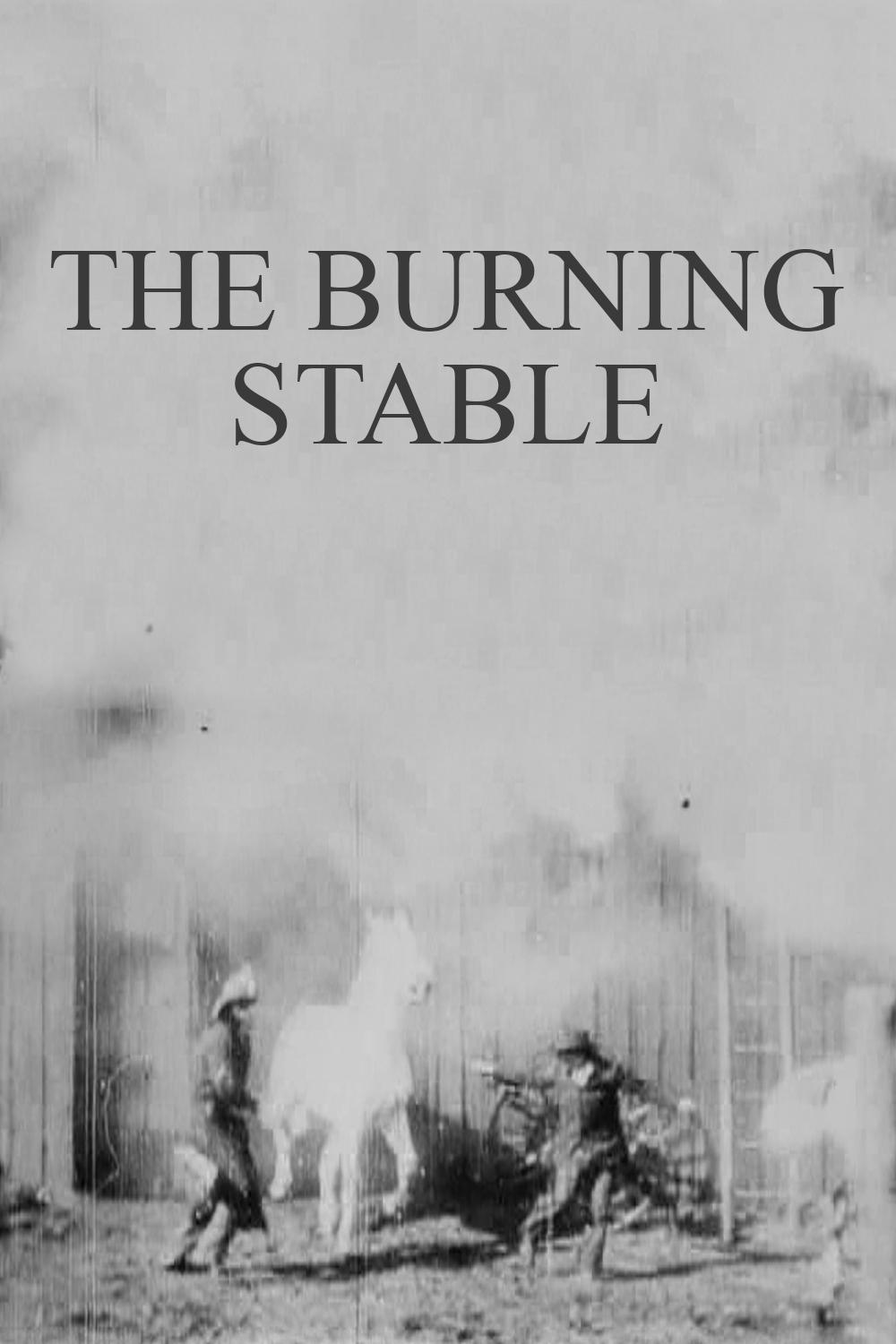 Poster de The Burning Stable