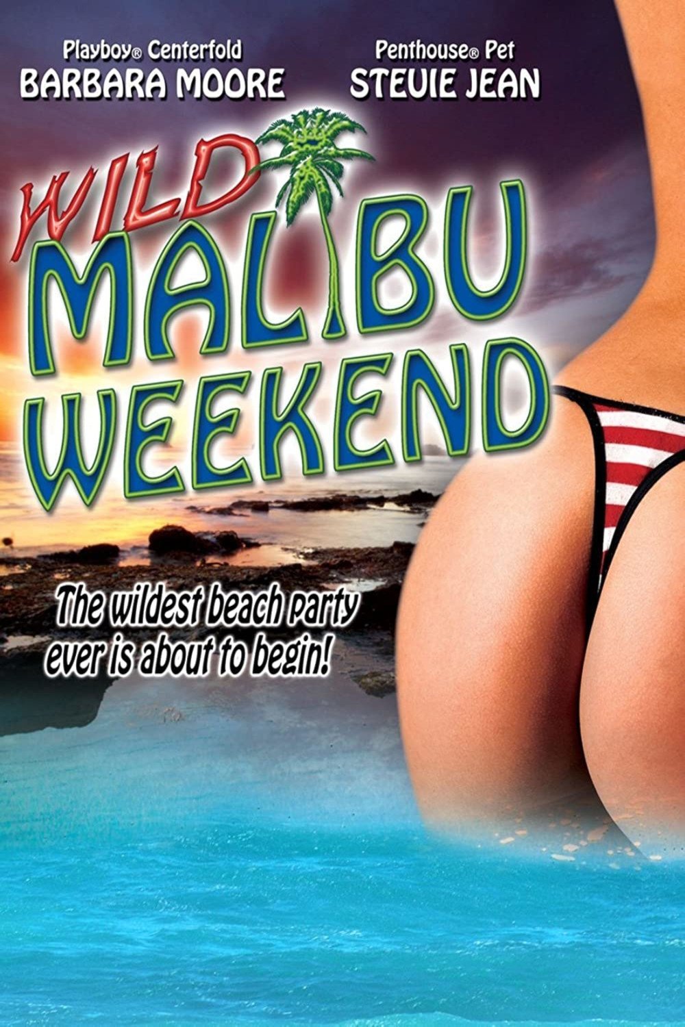 Affiche du film Wild Malibu Weekend!