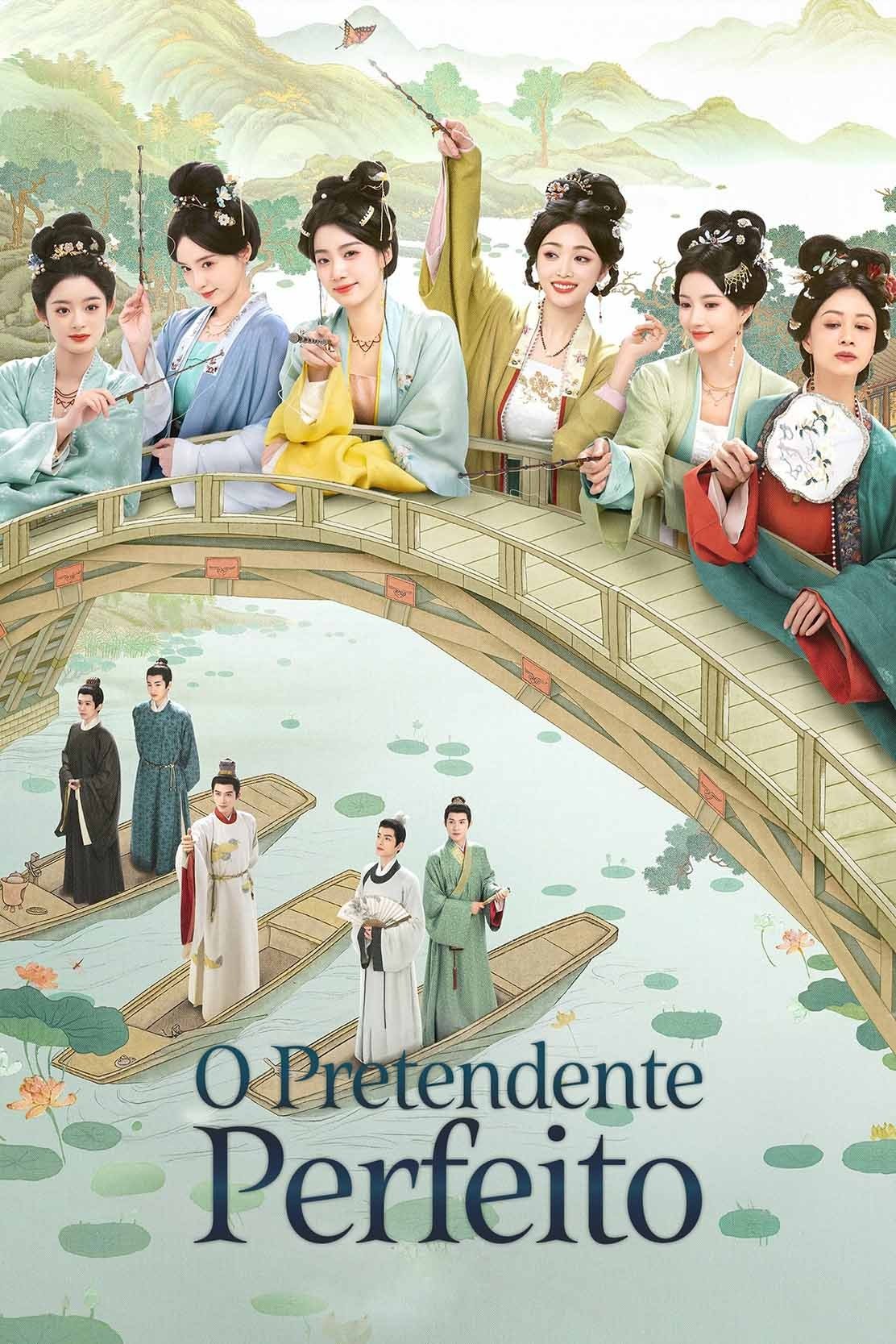 Poster de O Pretendente Perfeito