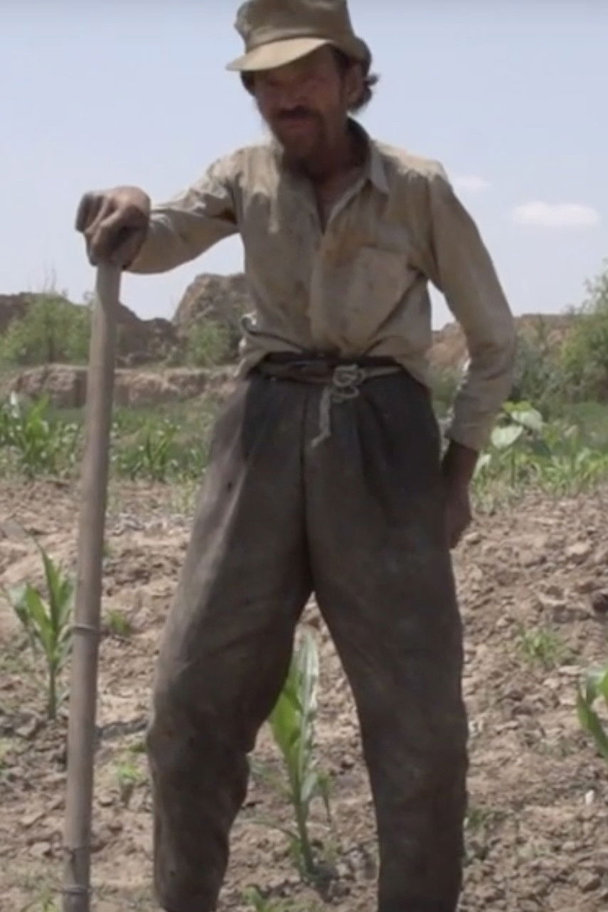 Venezia 70 - Future Reloaded, Wang Bing