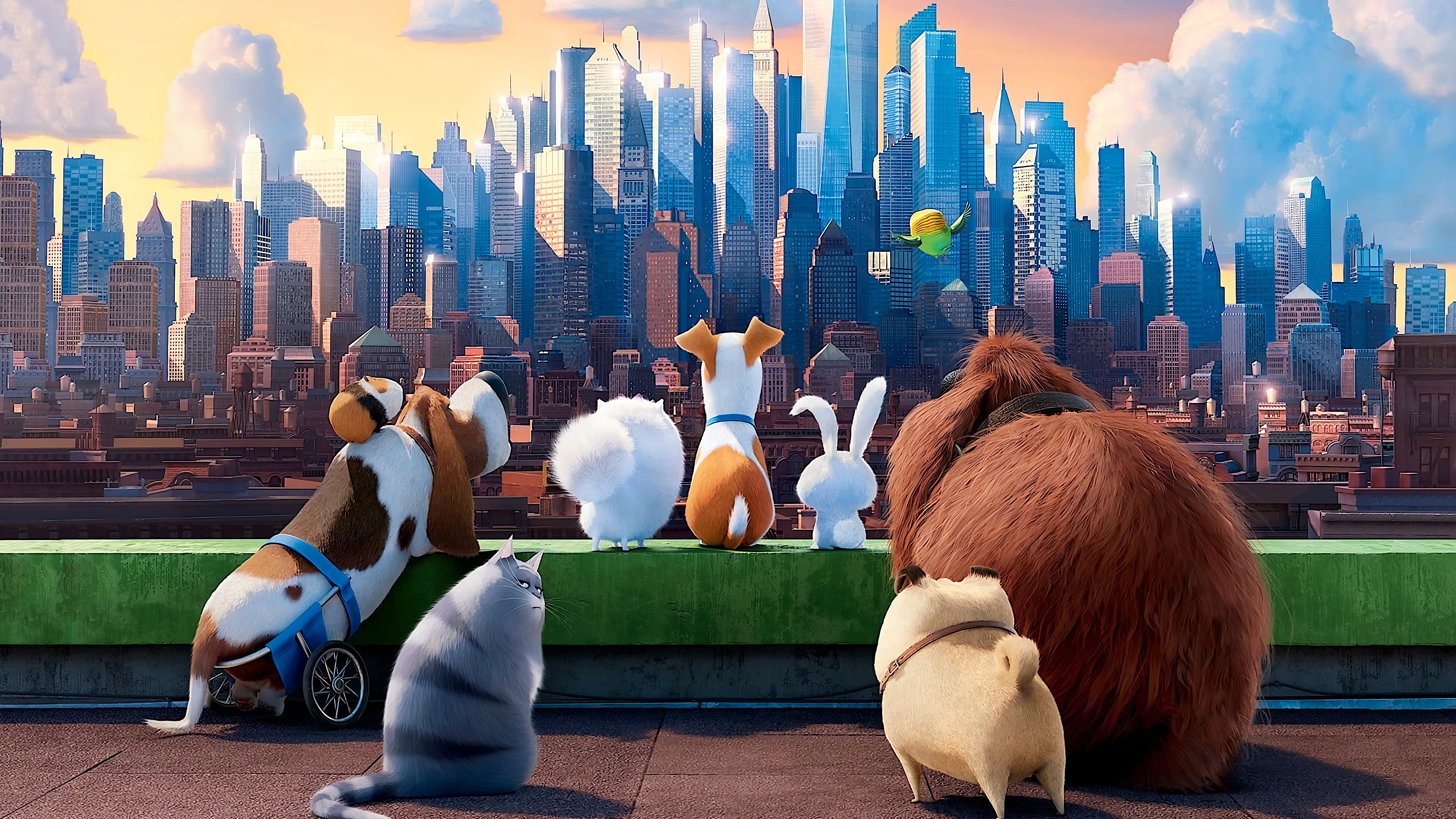 The Secret Life of Pets 2016 123movies