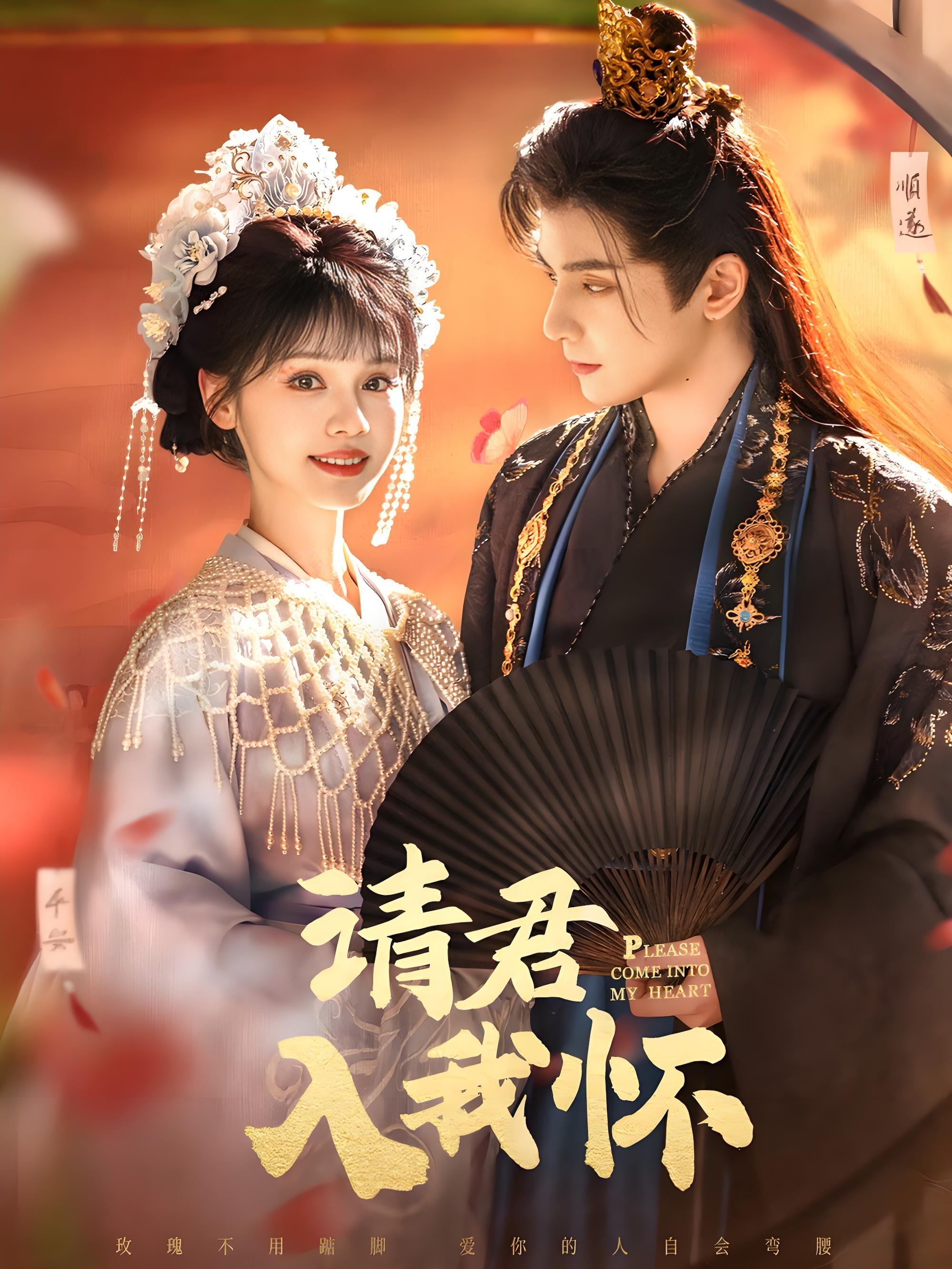 Poster de 请君入我怀