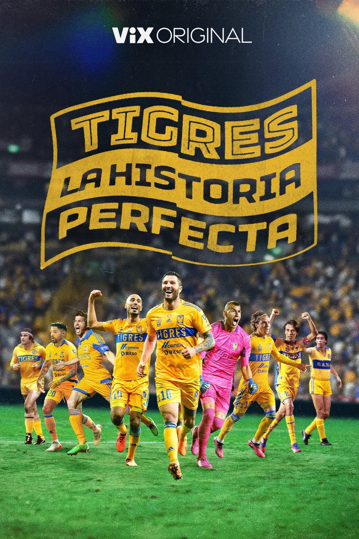 Poster de Tigres: La historia perfecta