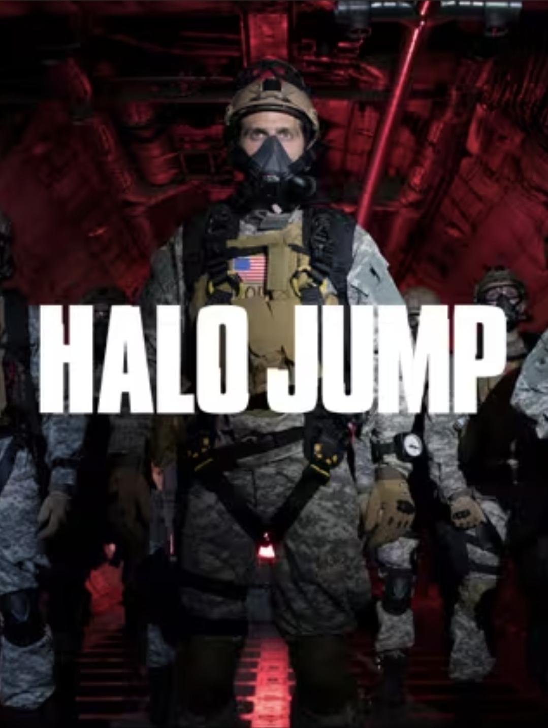 Poster de Godzilla: Into the Void - The H.A.L.O Jump