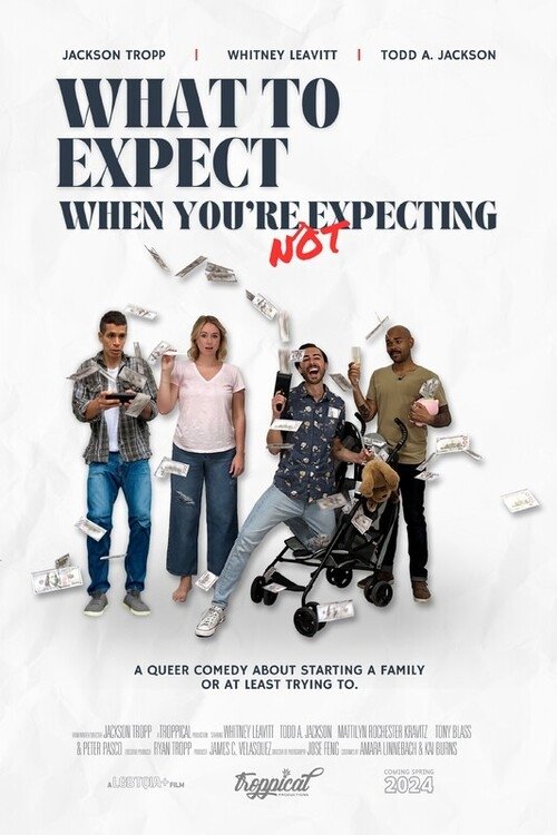 Poster de What to Expect When You're Not Expecting