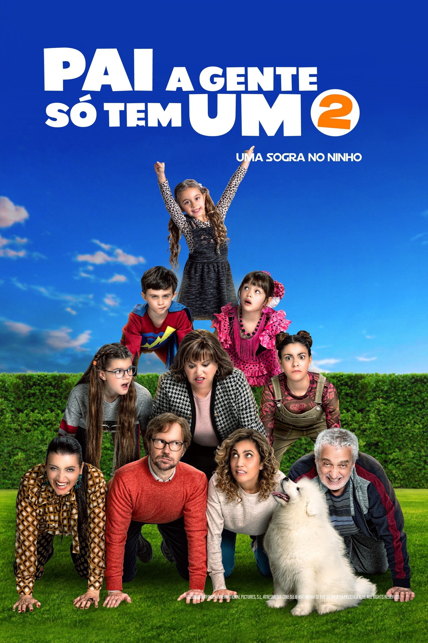 Poster de Pai a Gente Só Tem Um 2: Uma Sogra no Ninho
