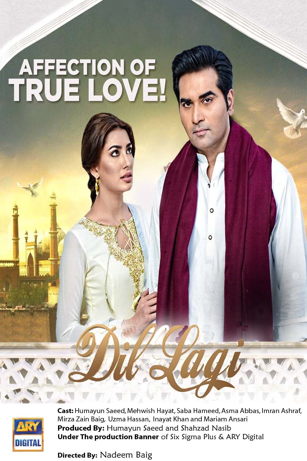 Poster de دل لگی