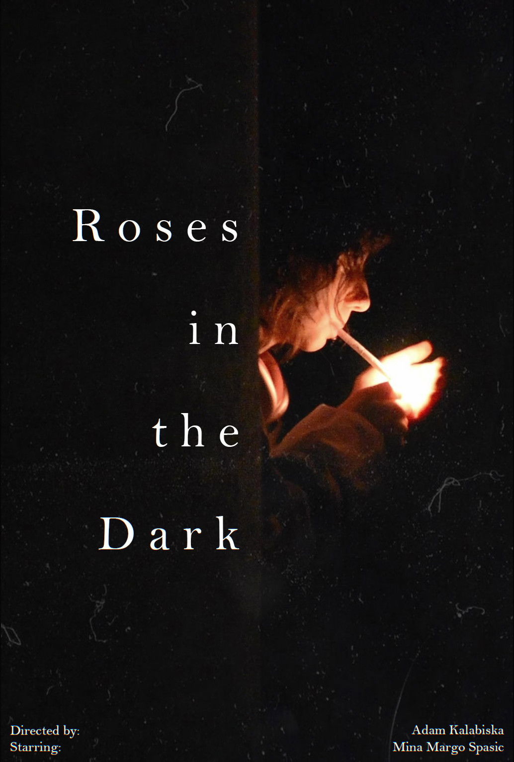 Poster de Roses in the Dark
