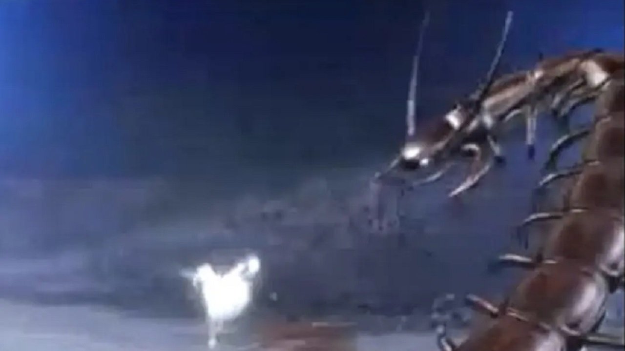 夜光神杯