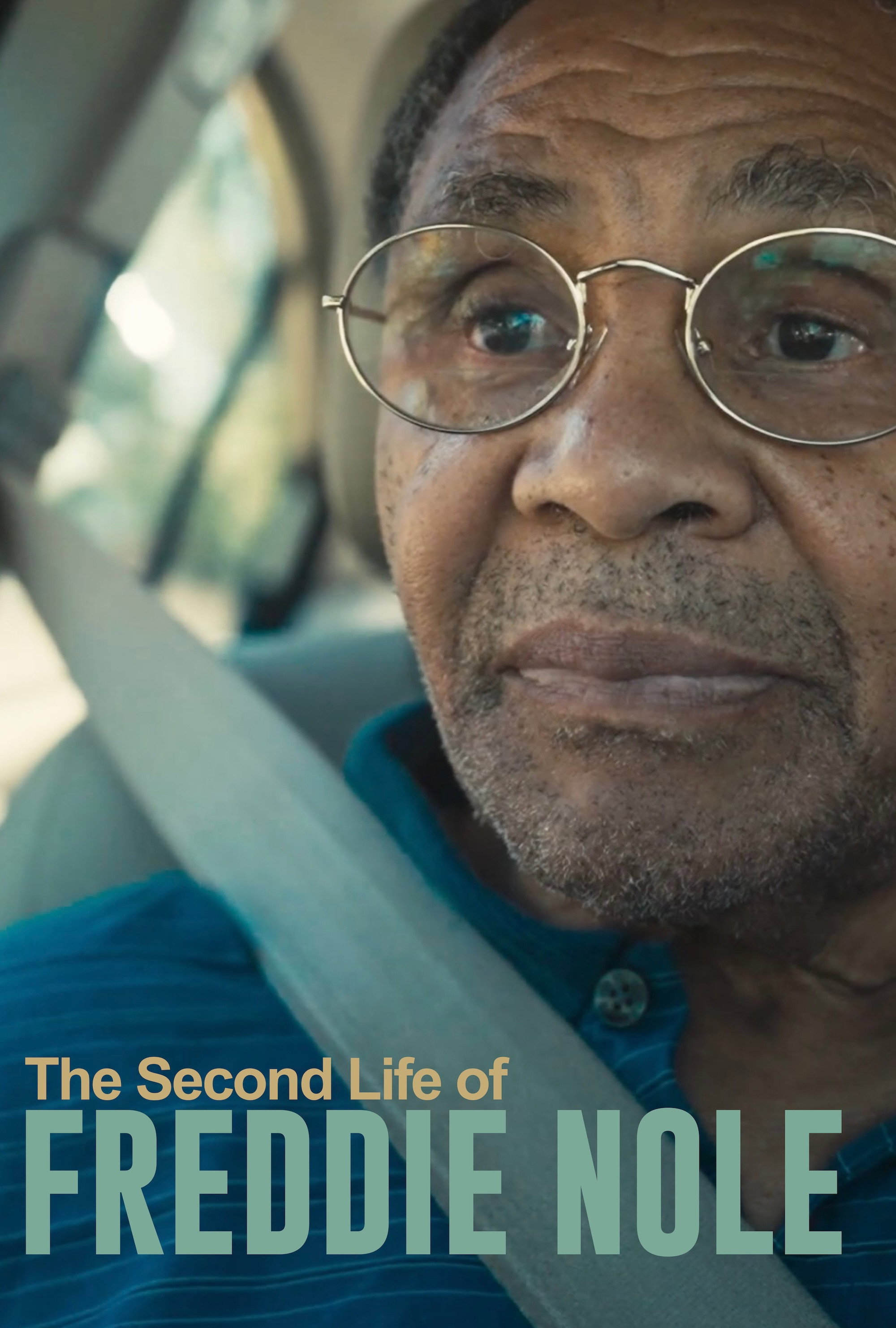 Poster de The Second Life of Freddie Nole