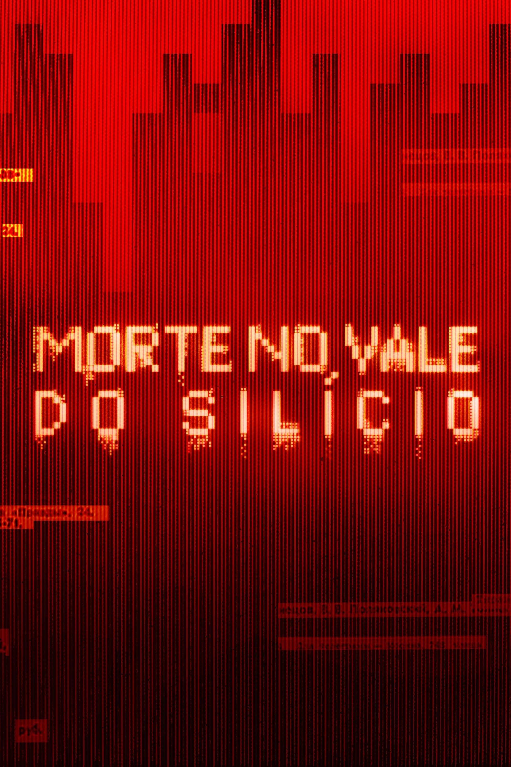 Poster de Morte no Vale do Silício